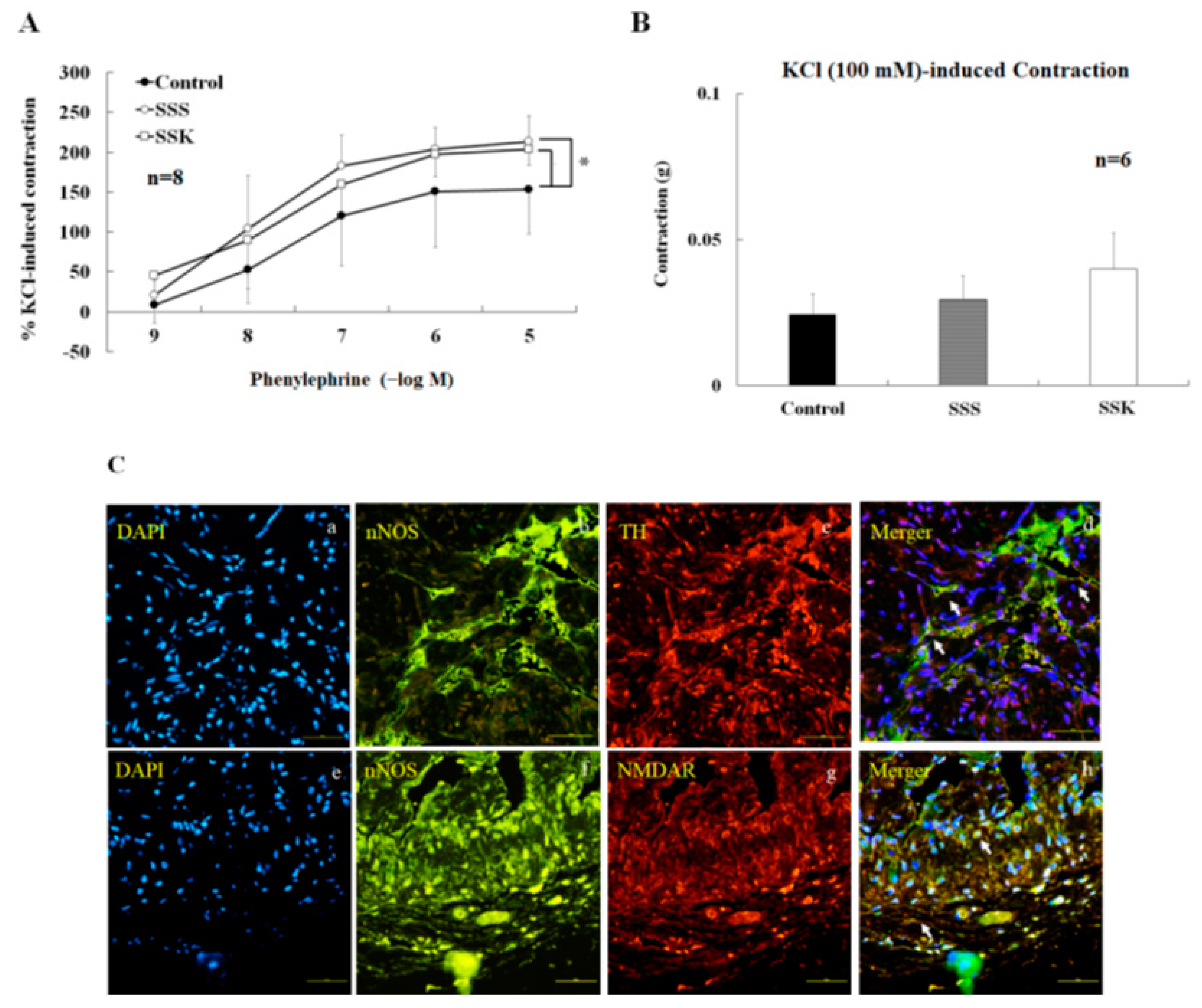 Ijms 24 11973 g005 Ijms 24 11973 g005