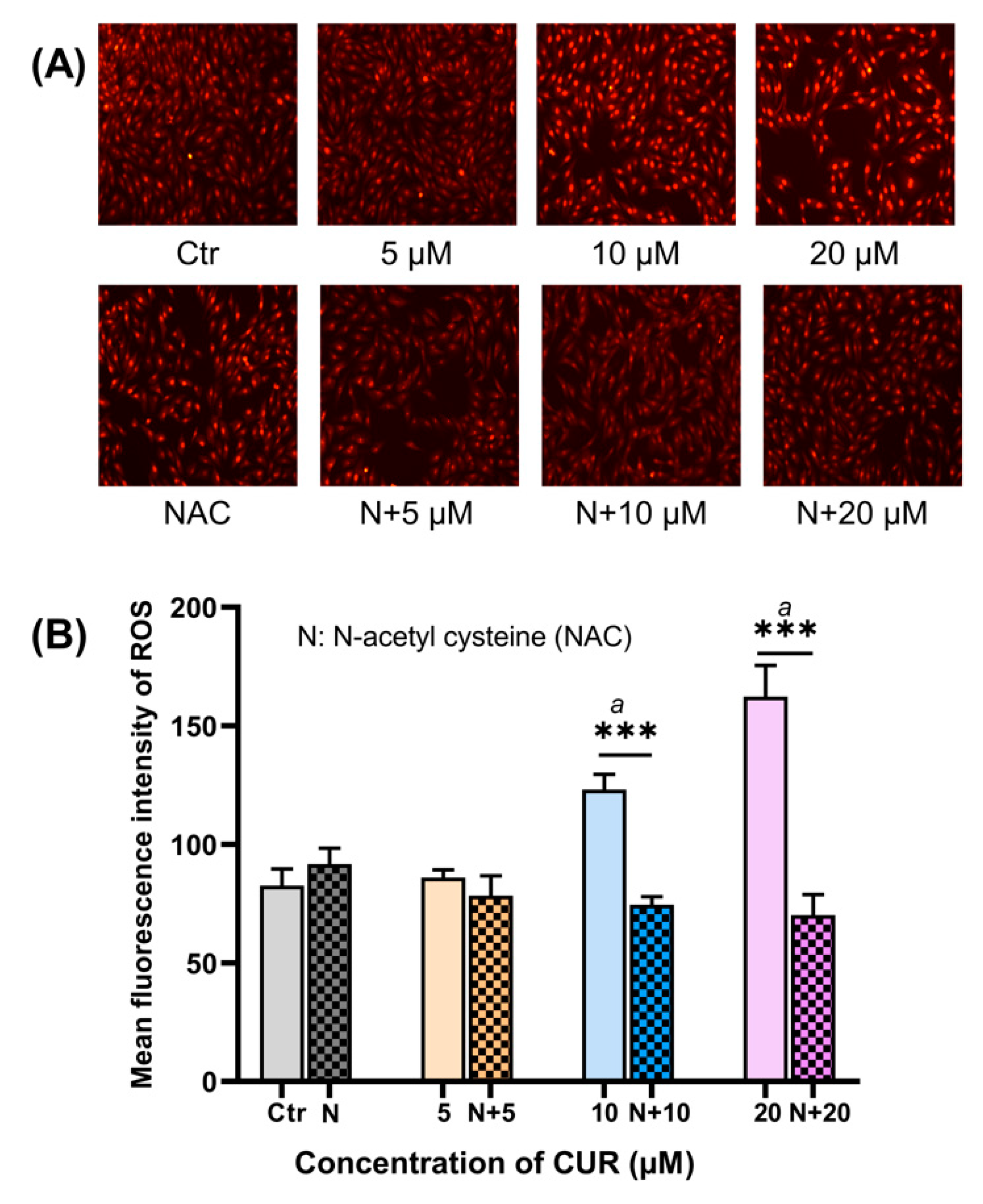 Ijms 24 11975 g002 Ijms 24 11975 g002