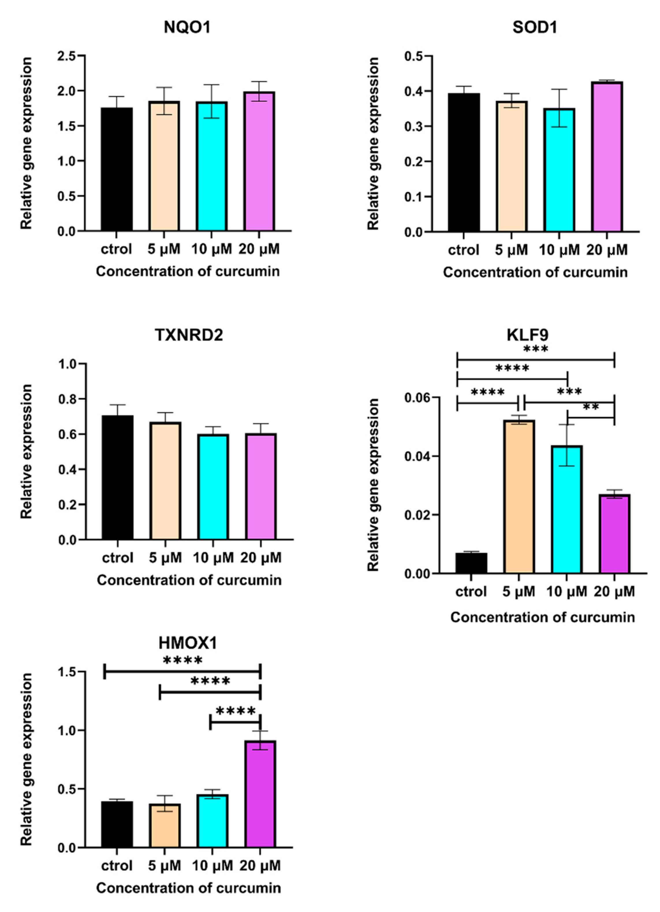 Ijms 24 11975 g006 Ijms 24 11975 g006