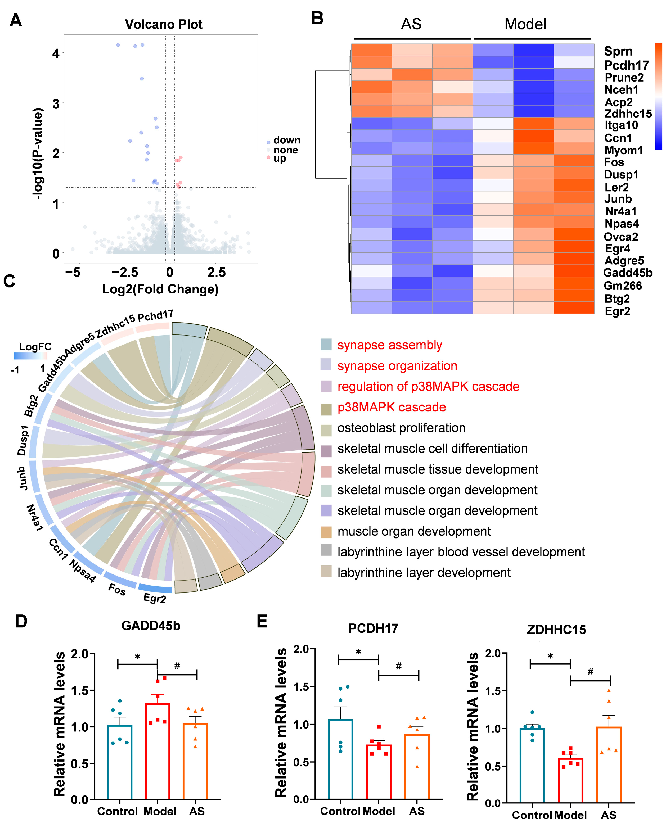 Ijms 24 11976 g004 Ijms 24 11976 g004