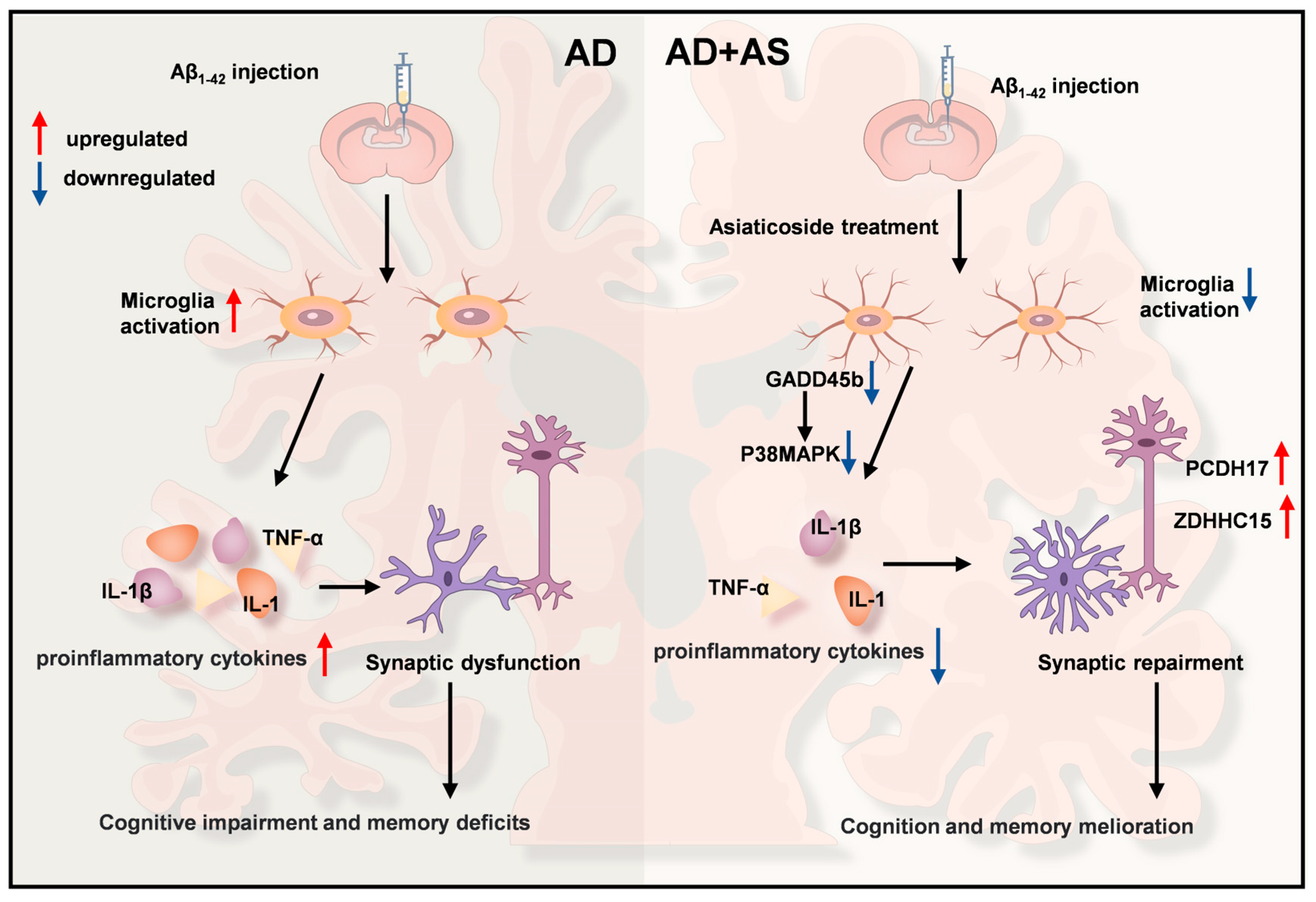 Ijms 24 11976 g005 Ijms 24 11976 g005