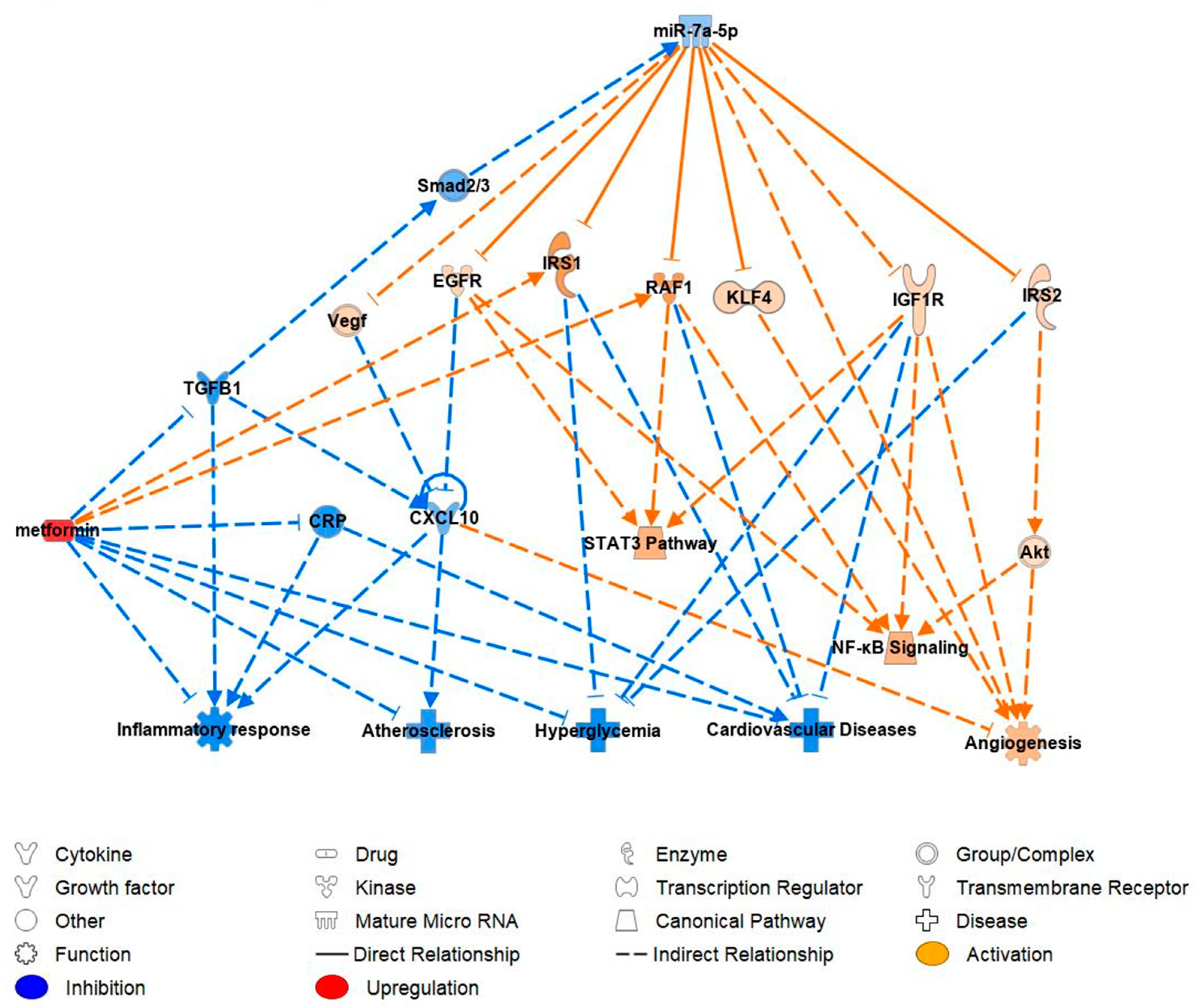 Ijms 24 11977 g005 Ijms 24 11977 g005