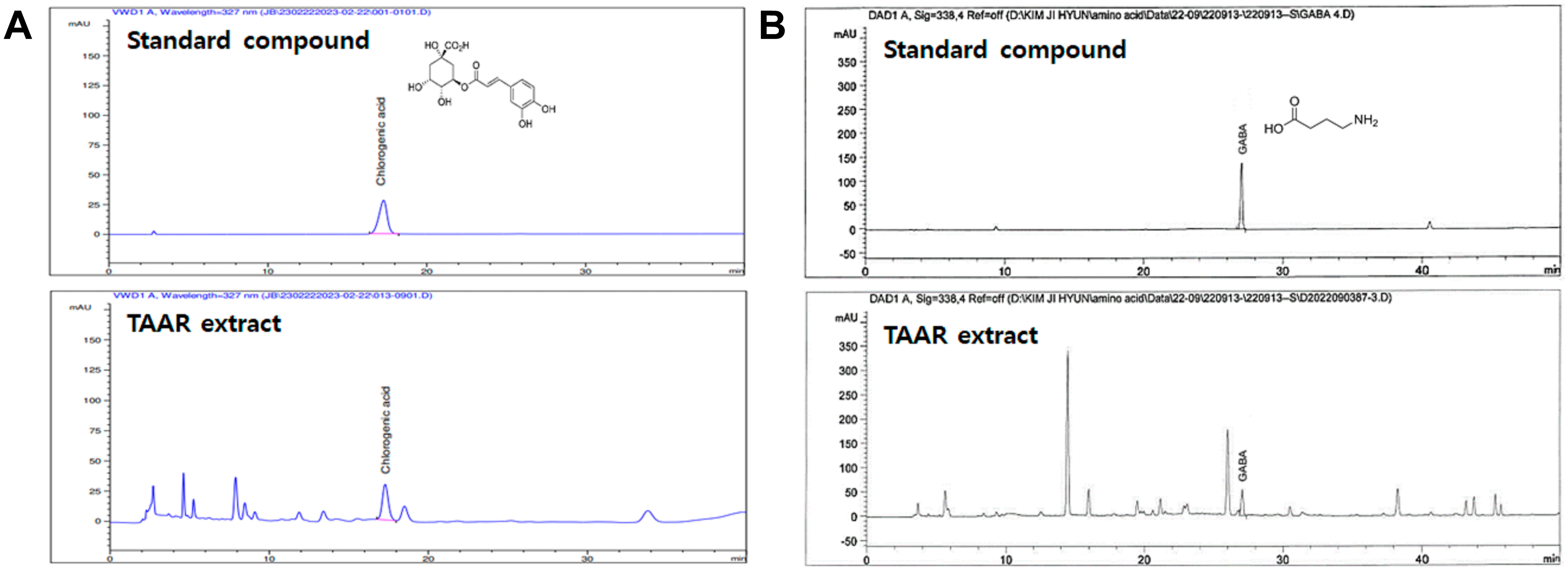 Ijms 24 11979 g003 Ijms 24 11979 g003
