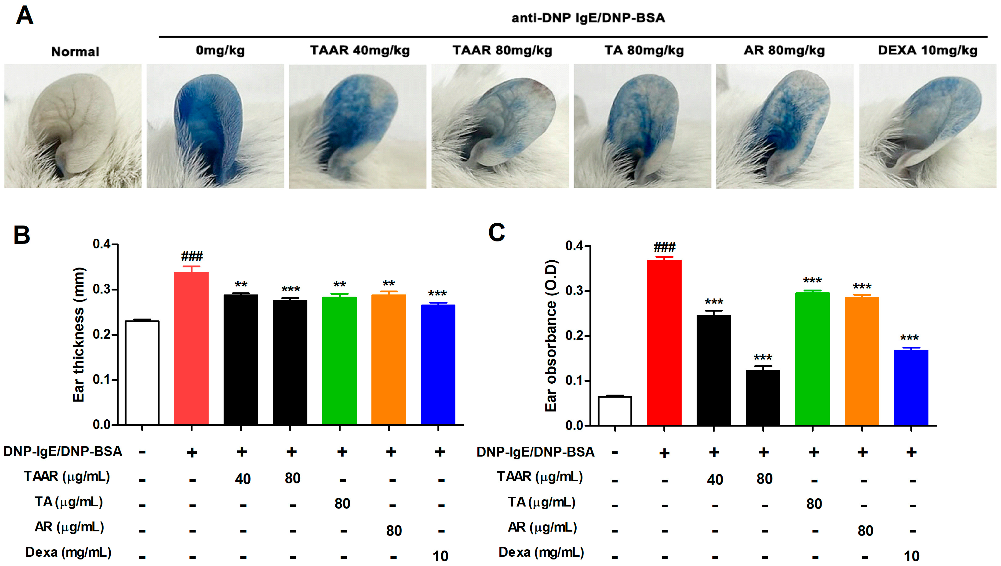 Ijms 24 11979 g009 Ijms 24 11979 g009