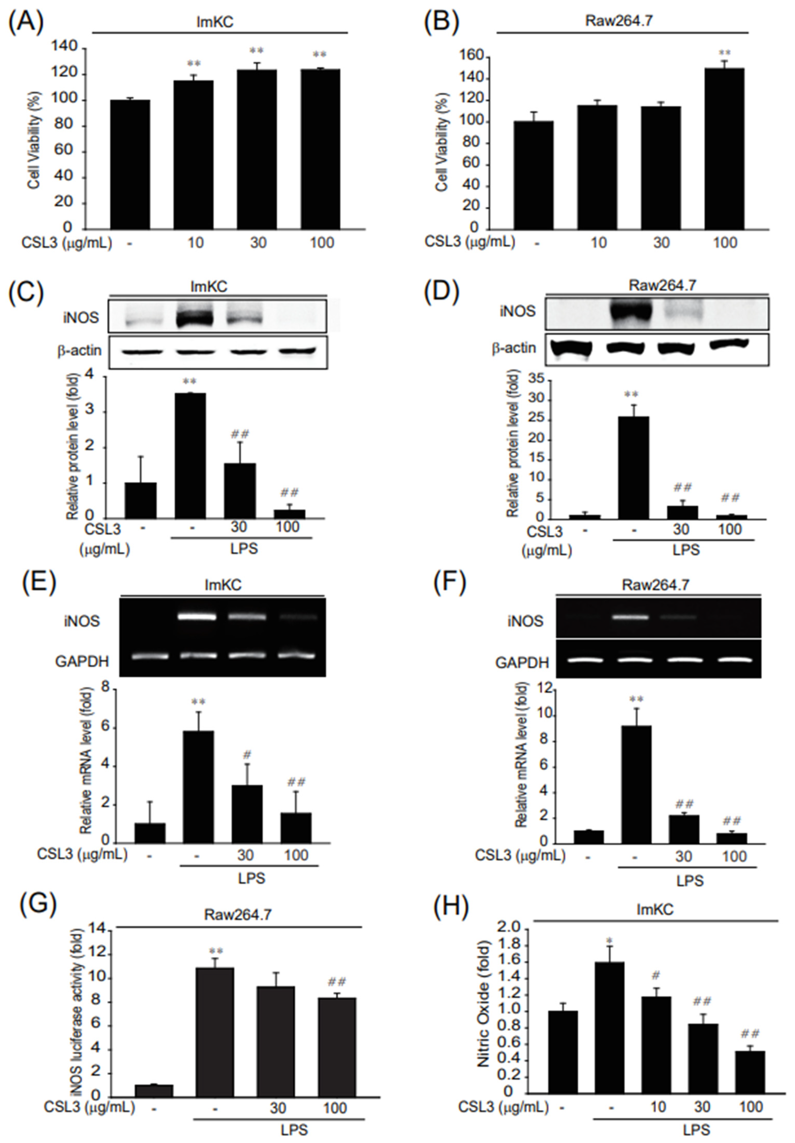 Ijms 24 11982 g001 Ijms 24 11982 g001