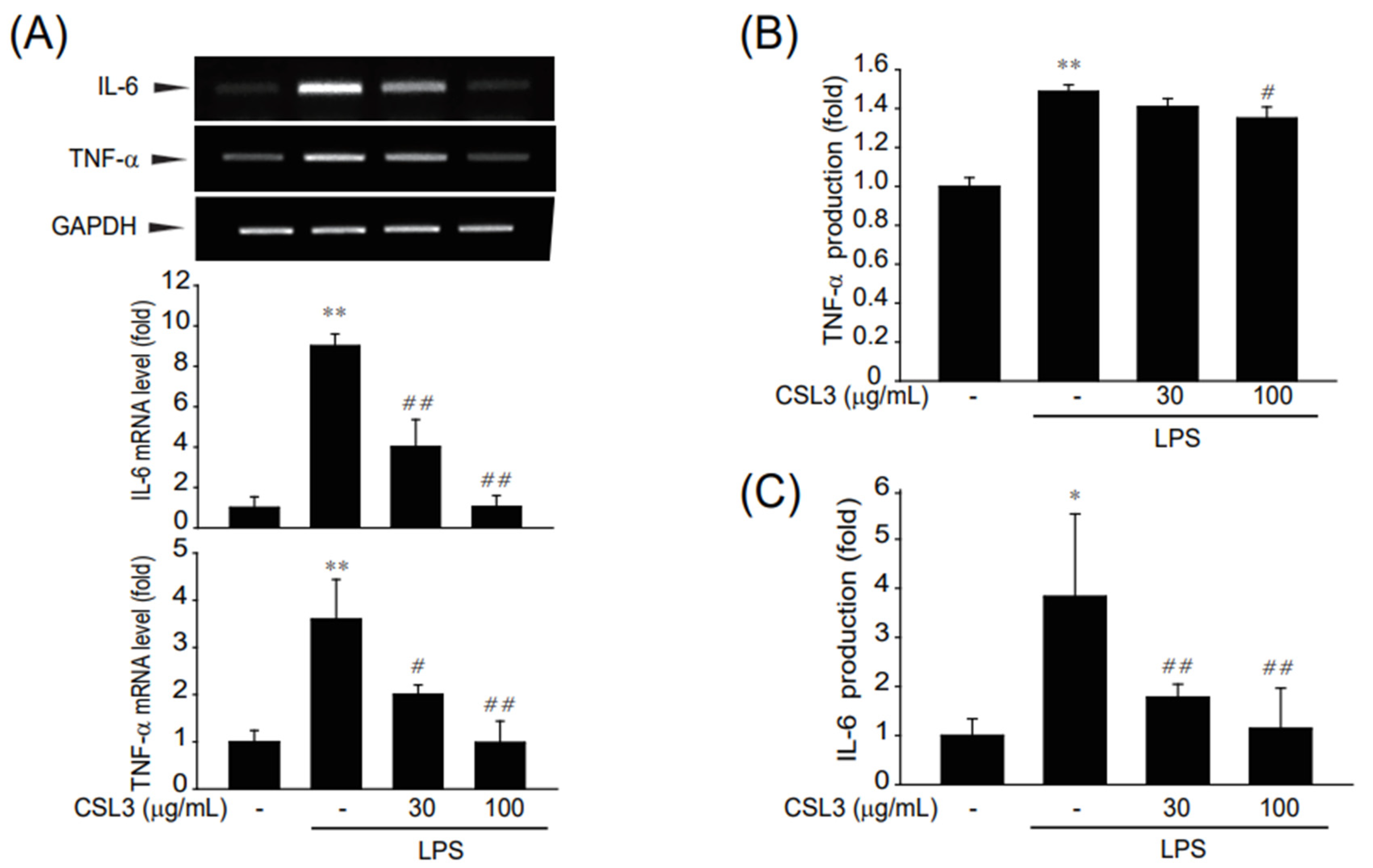 Ijms 24 11982 g002 Ijms 24 11982 g002