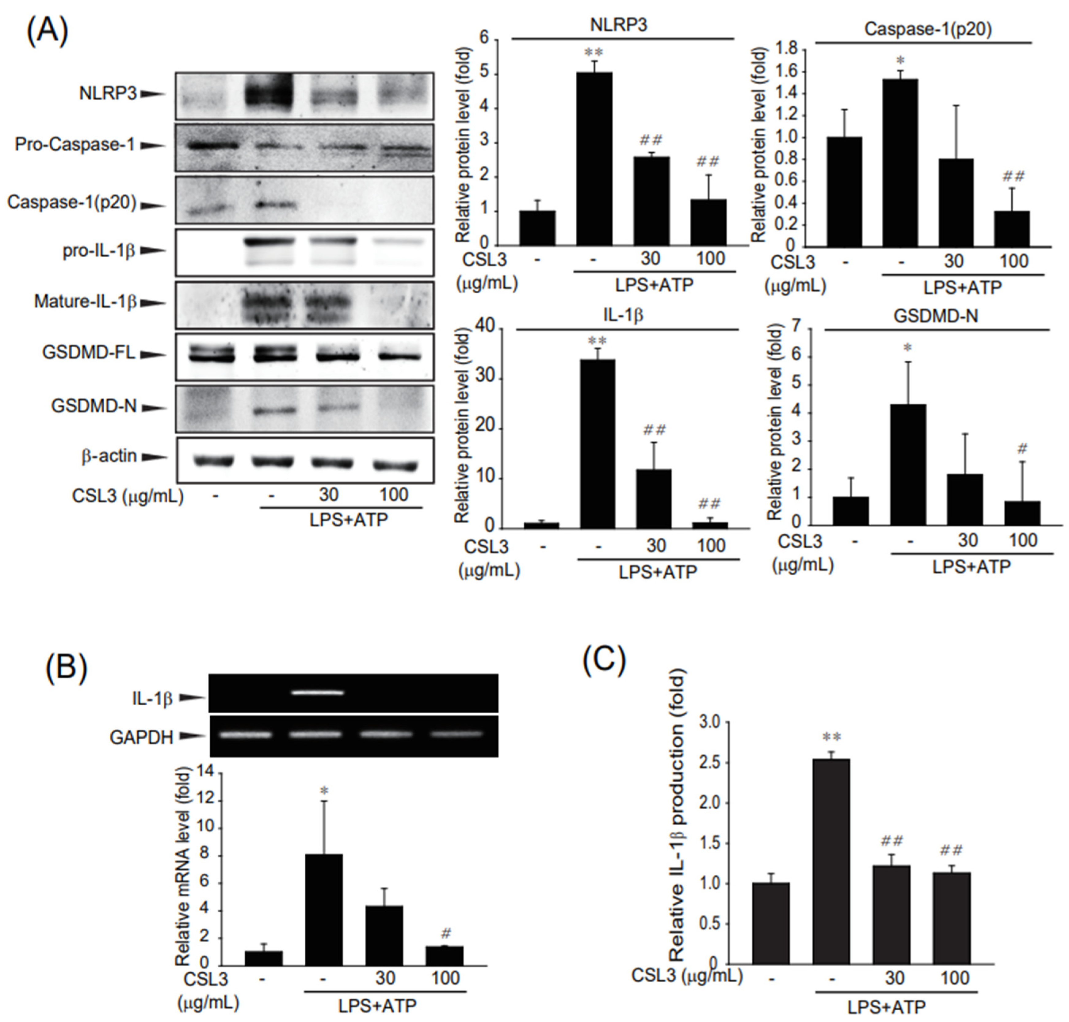 Ijms 24 11982 g004 Ijms 24 11982 g004