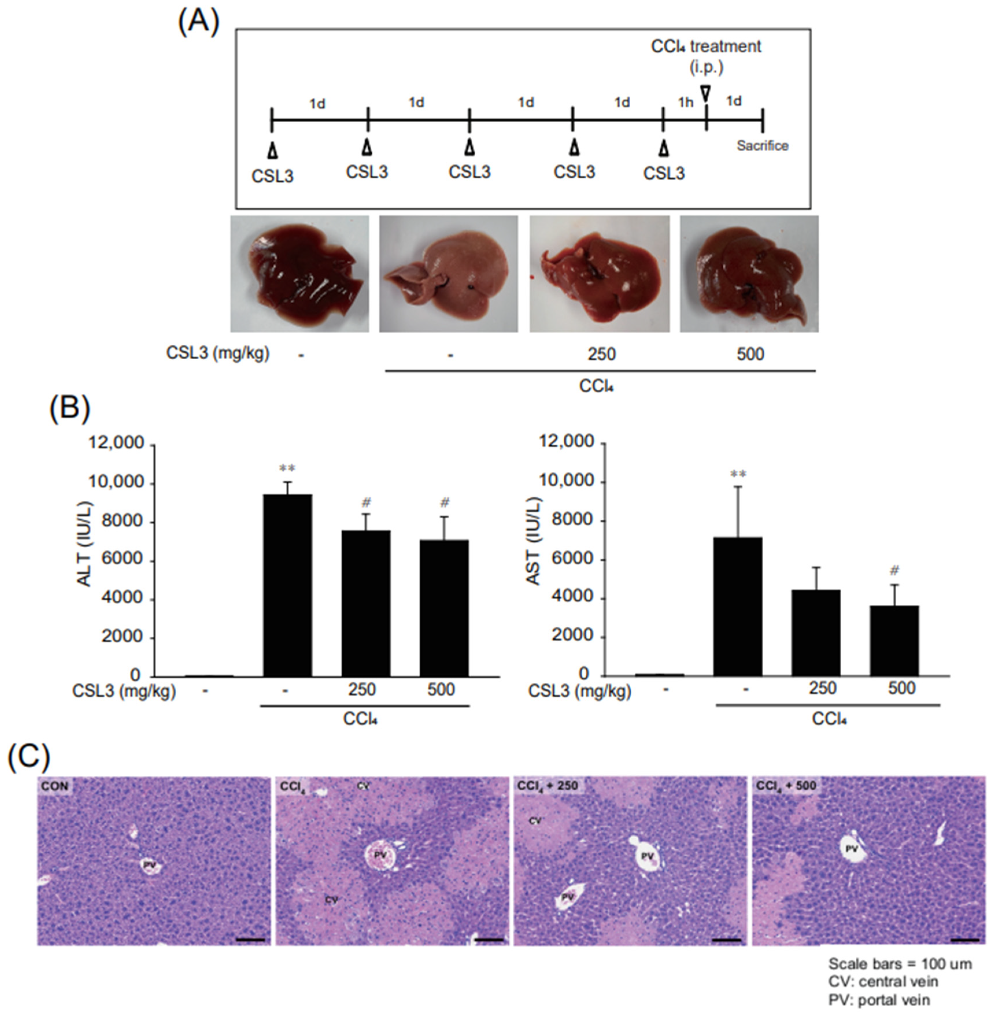 Ijms 24 11982 g005 Ijms 24 11982 g005