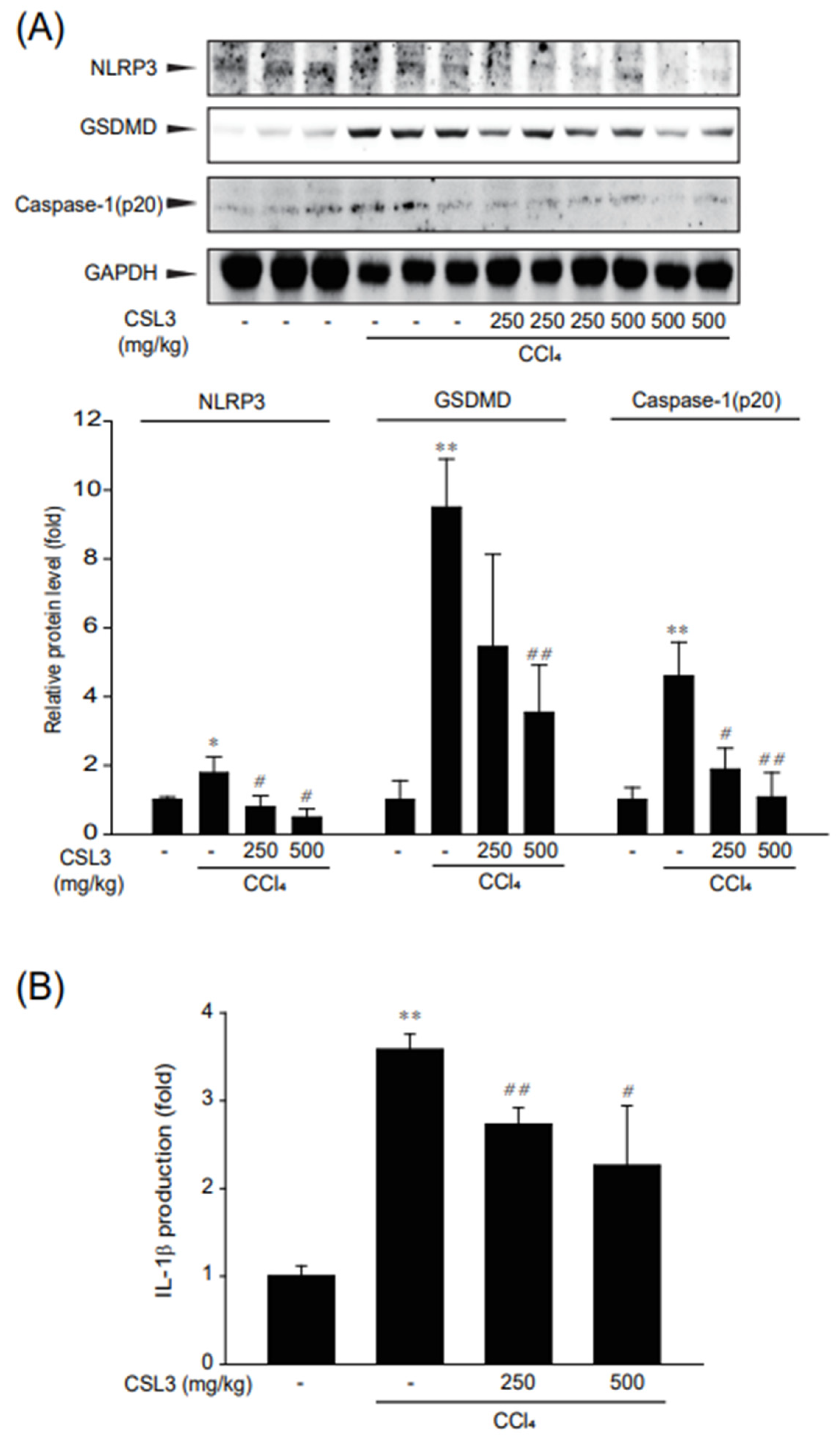 Ijms 24 11982 g007 Ijms 24 11982 g007