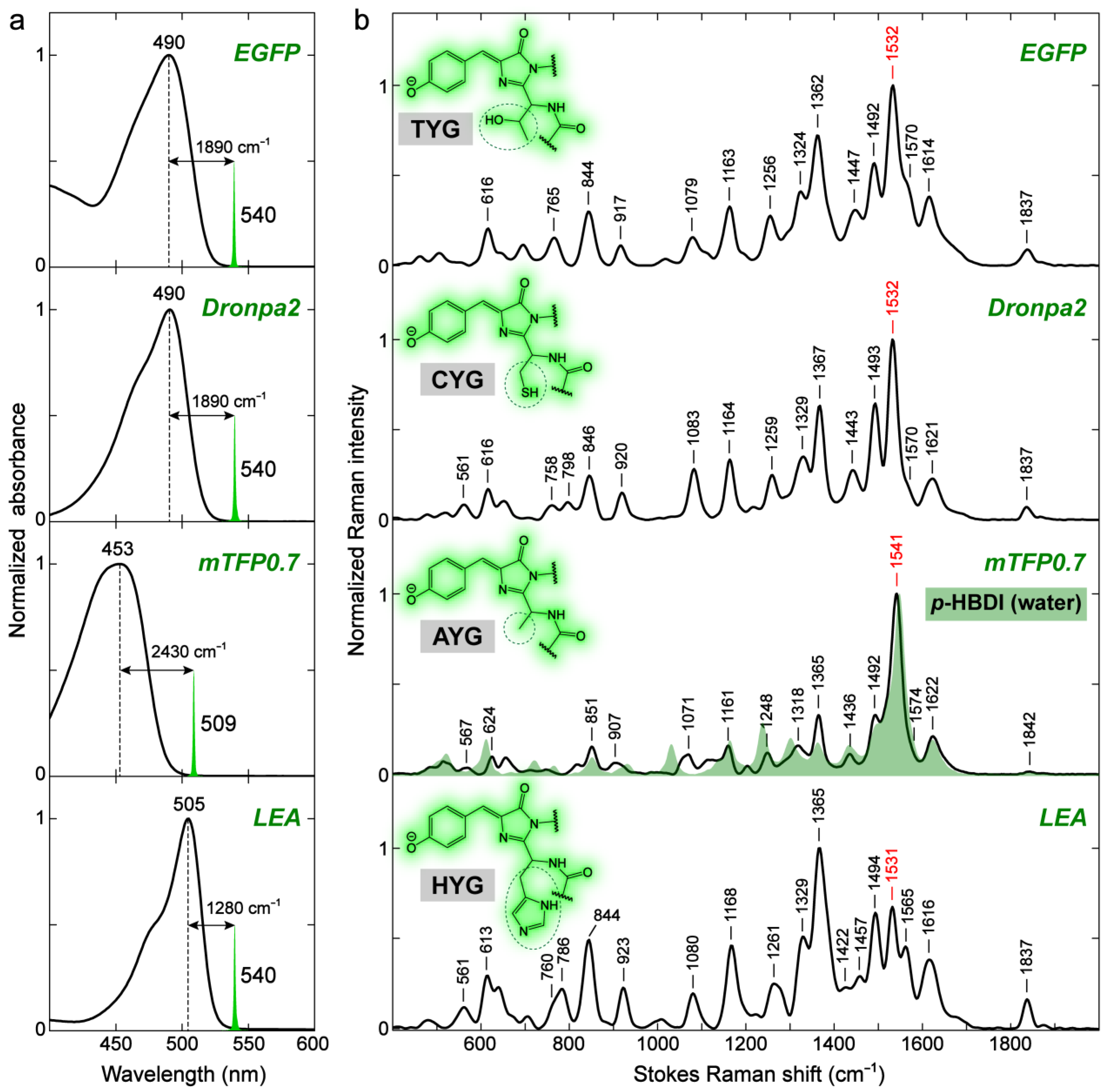 Ijms 24 11991 g006 Ijms 24 11991 g006