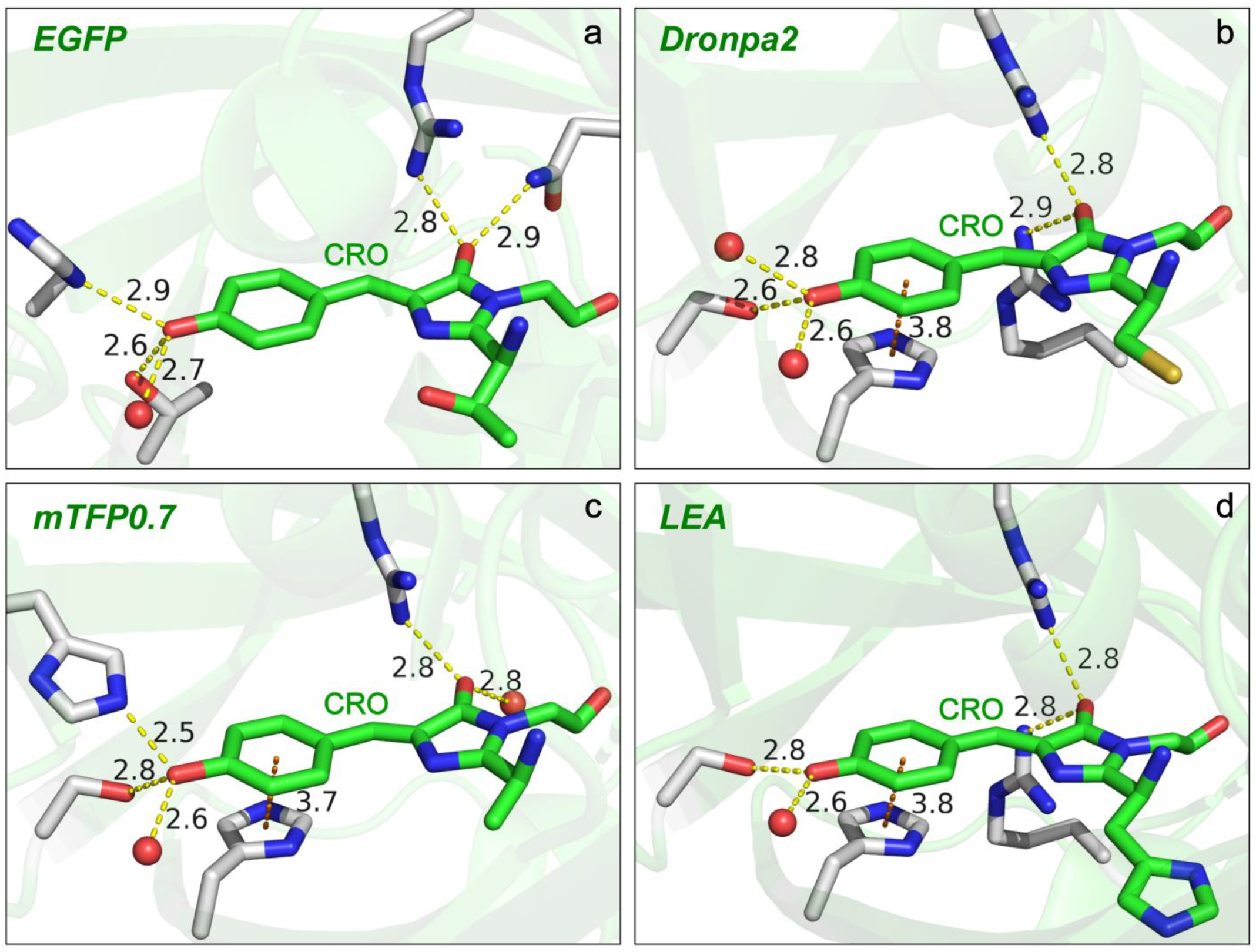 Ijms 24 11991 g007 Ijms 24 11991 g007