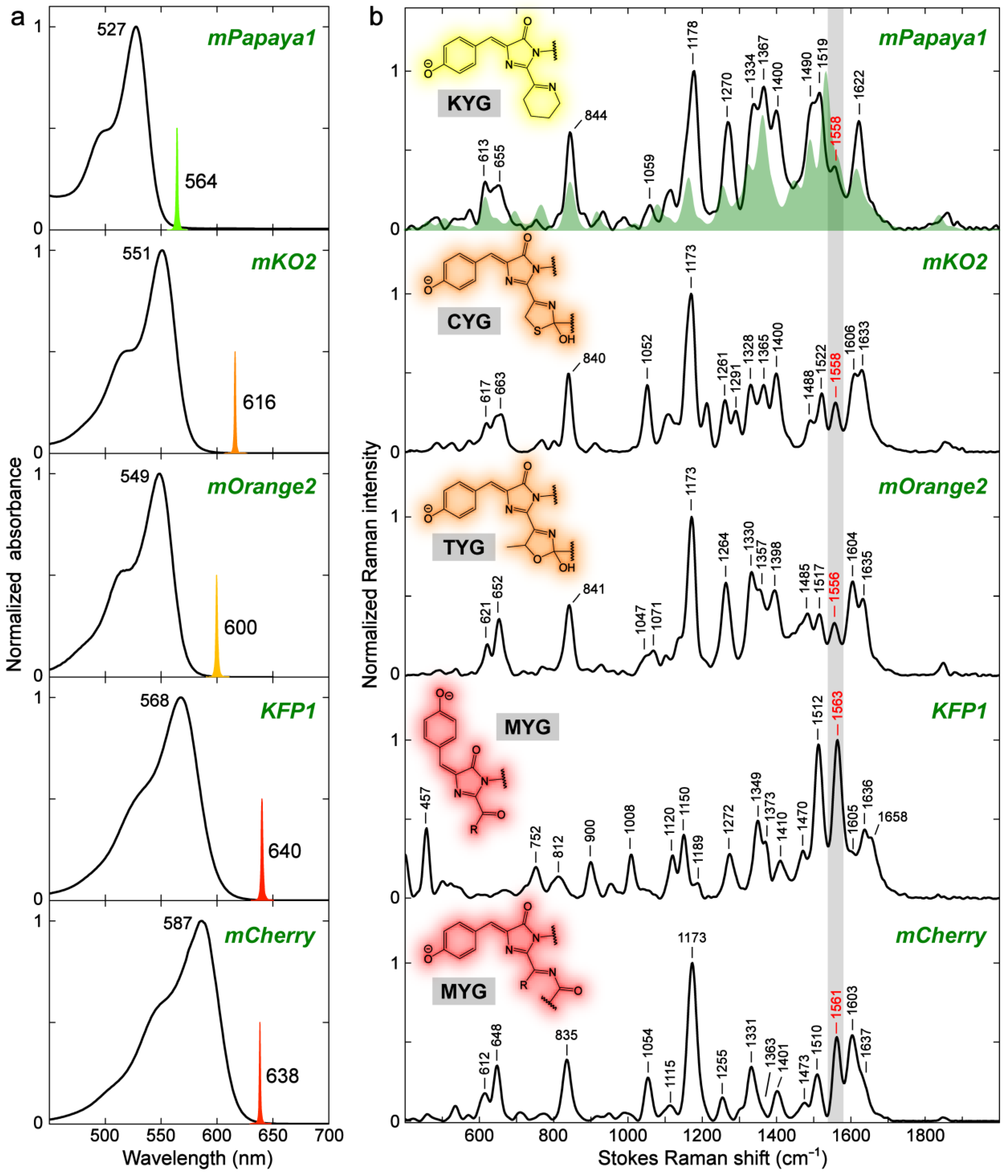 Ijms 24 11991 g008 Ijms 24 11991 g008