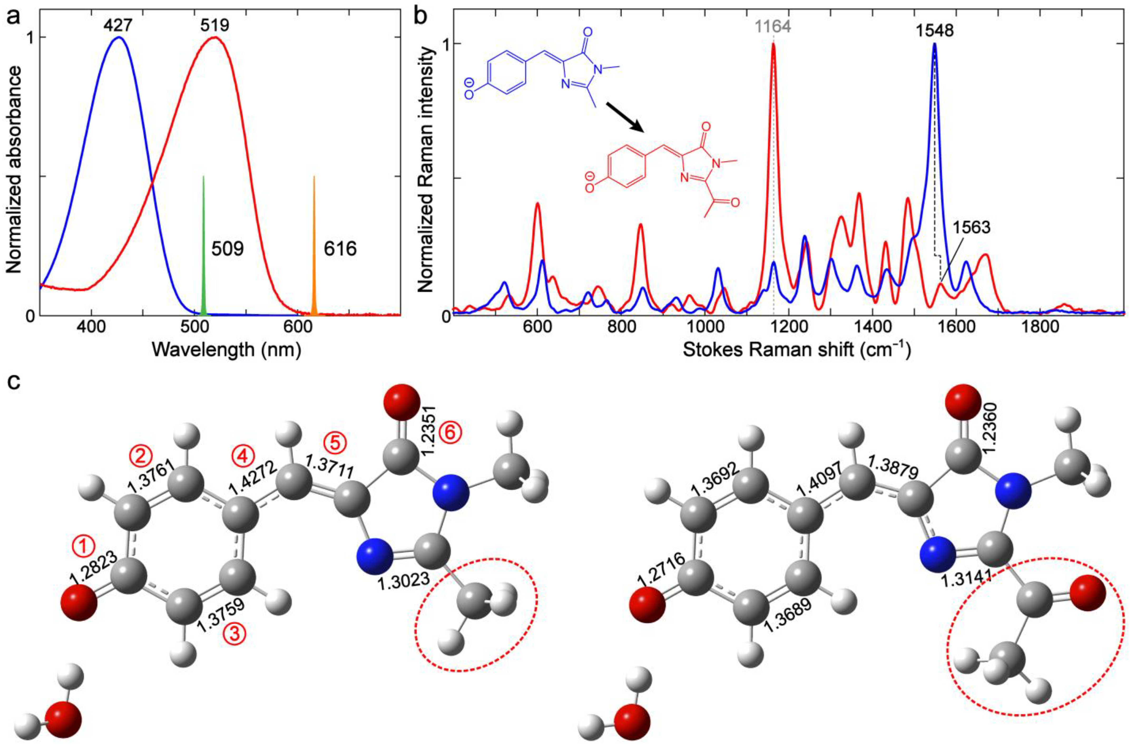 Ijms 24 11991 g009 Ijms 24 11991 g009