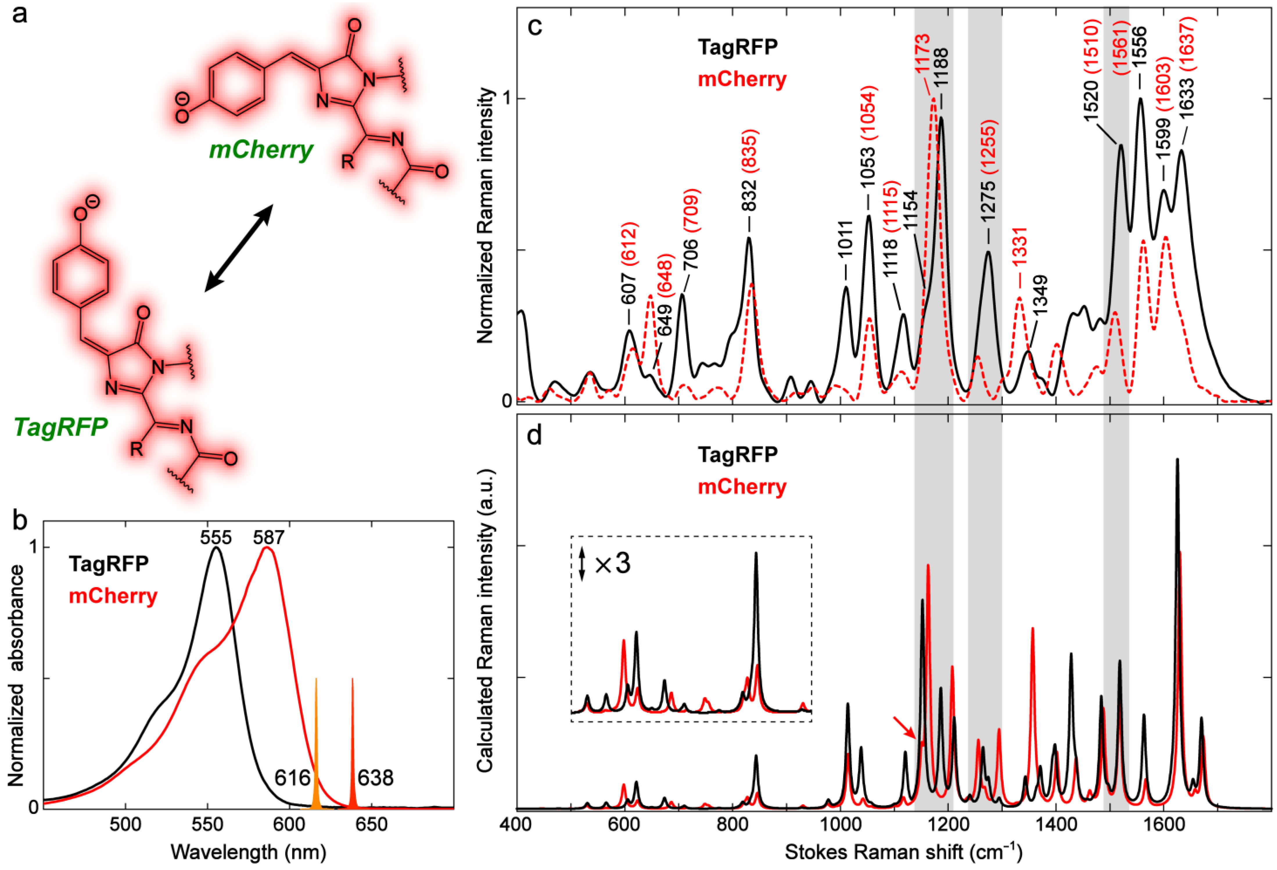 Ijms 24 11991 g012 Ijms 24 11991 g012