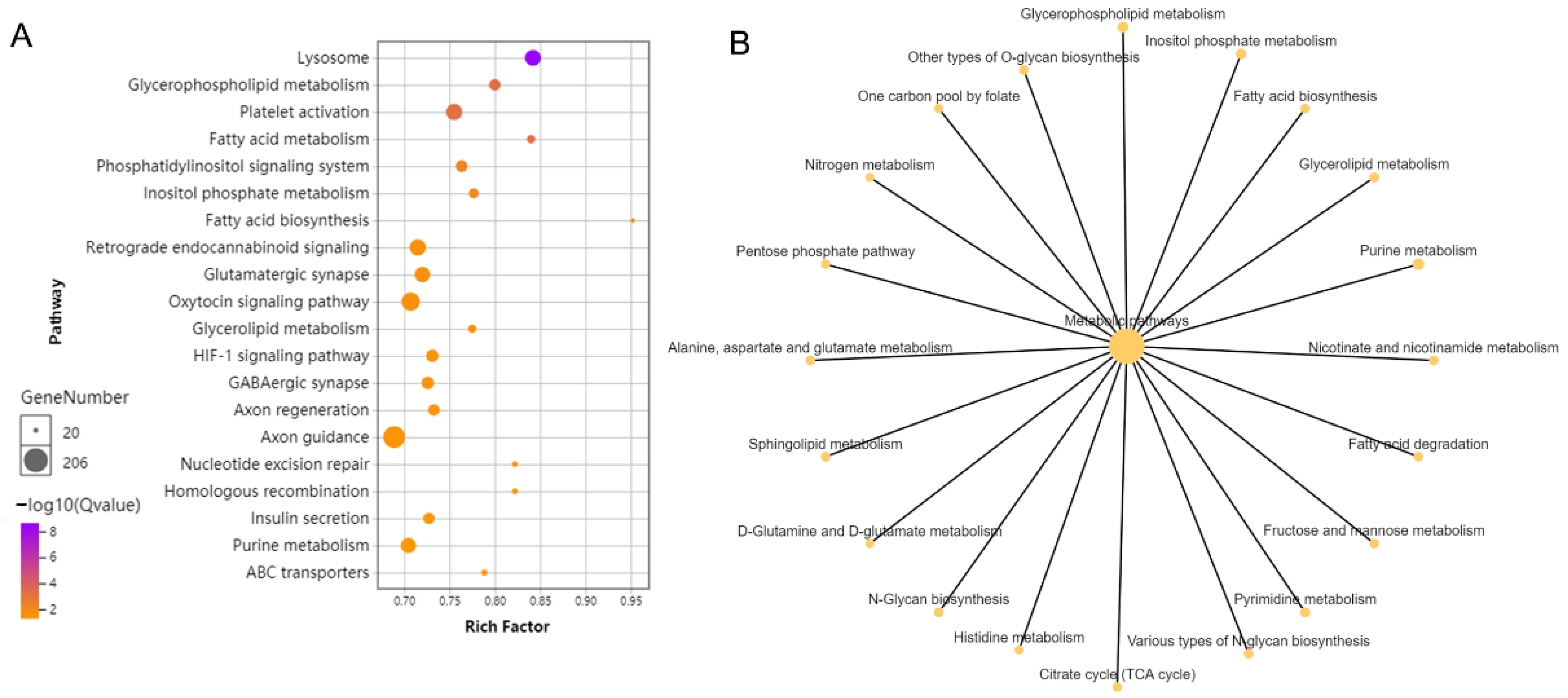 Ijms 24 12007 g003 Ijms 24 12007 g003