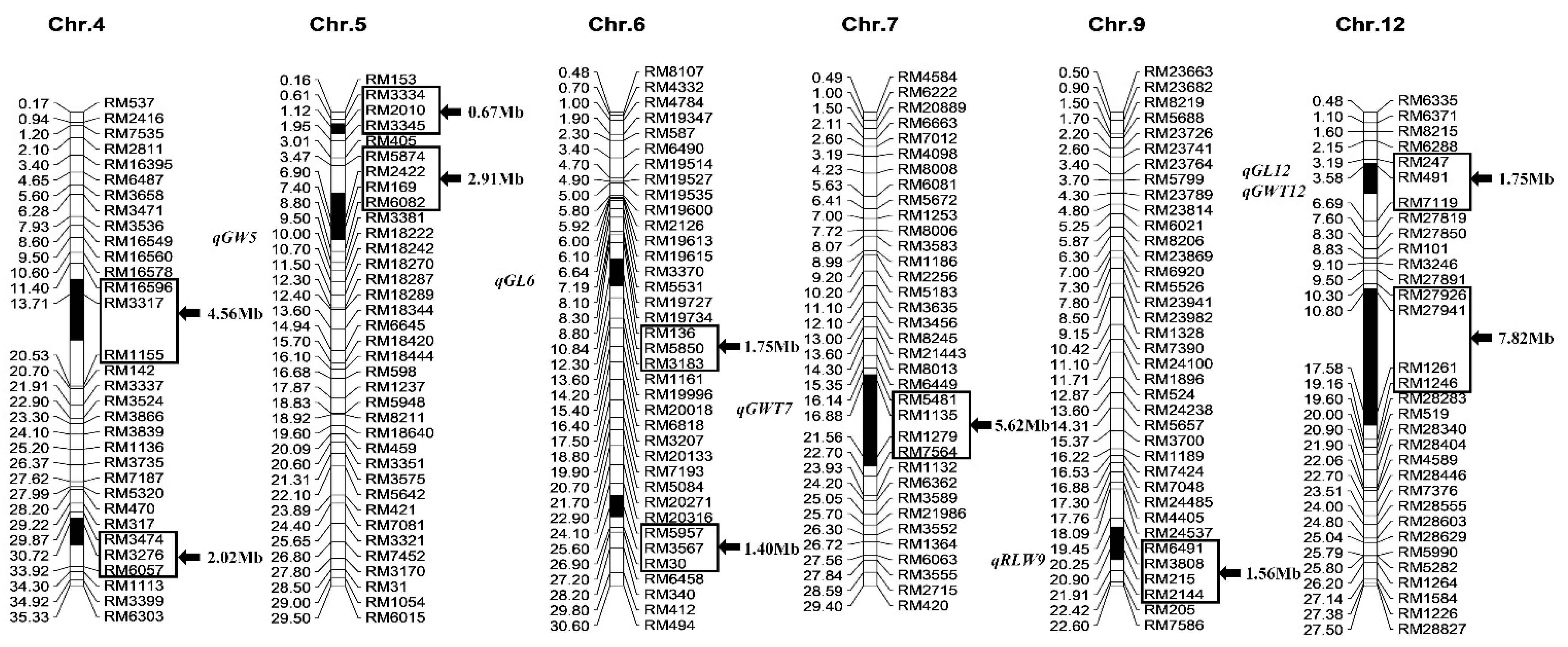 Ijms 24 12013 g001 Ijms 24 12013 g001