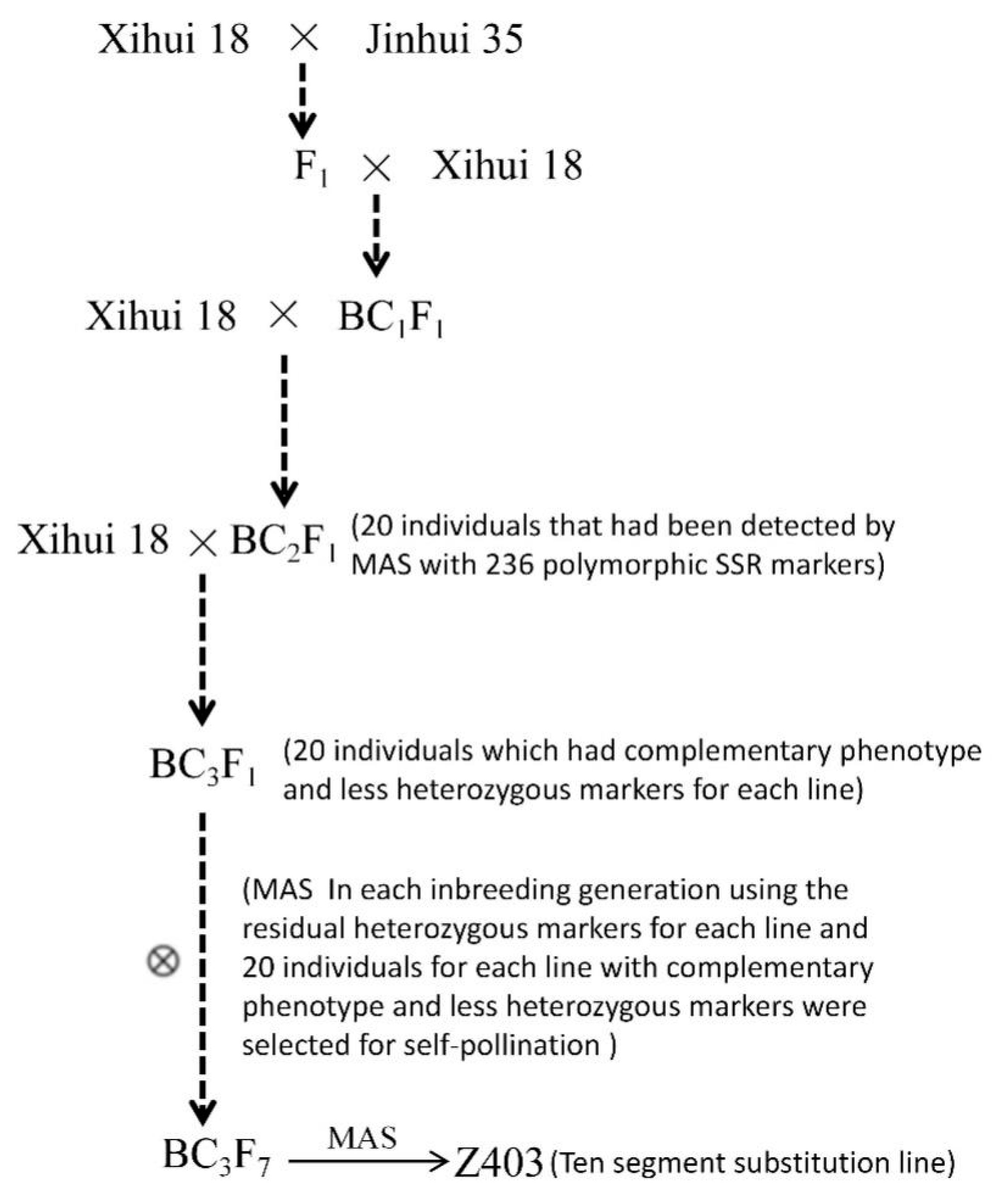 Ijms 24 12013 g004 Ijms 24 12013 g004