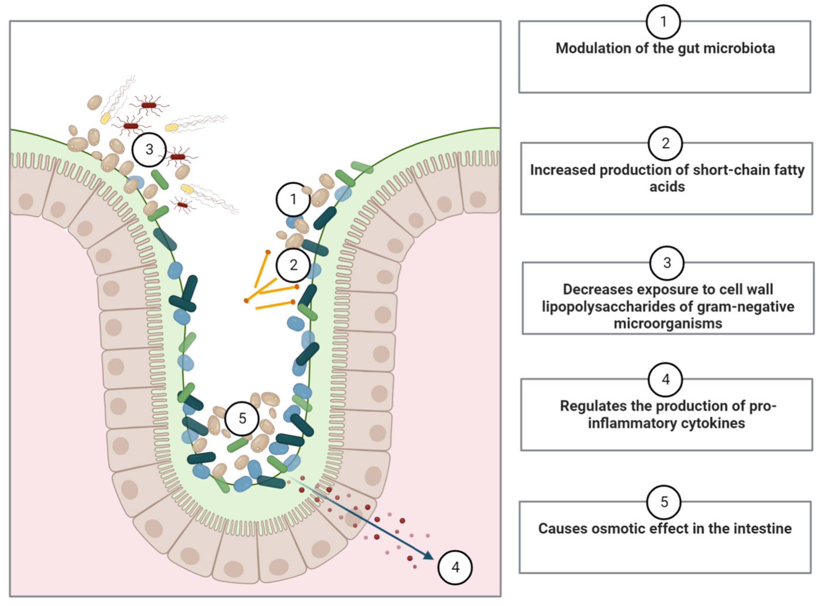 Ijms 24 12015 g002 Ijms 24 12015 g002