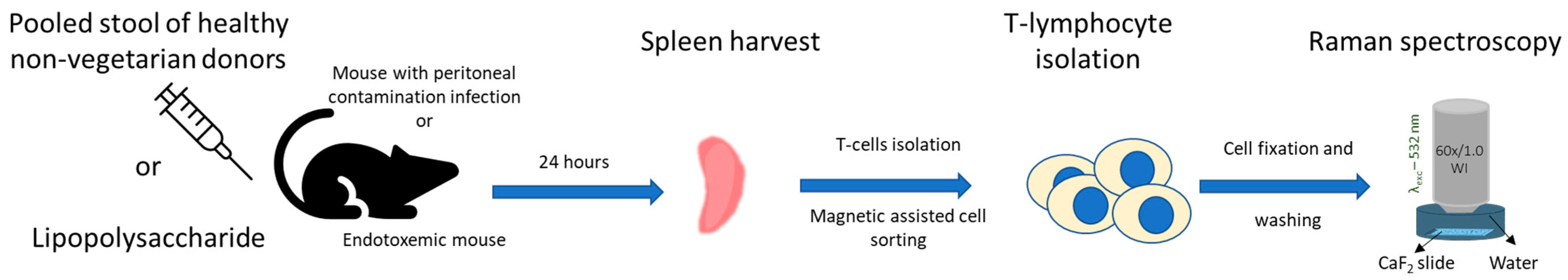 Ijms 24 12027 g003 Ijms 24 12027 g003