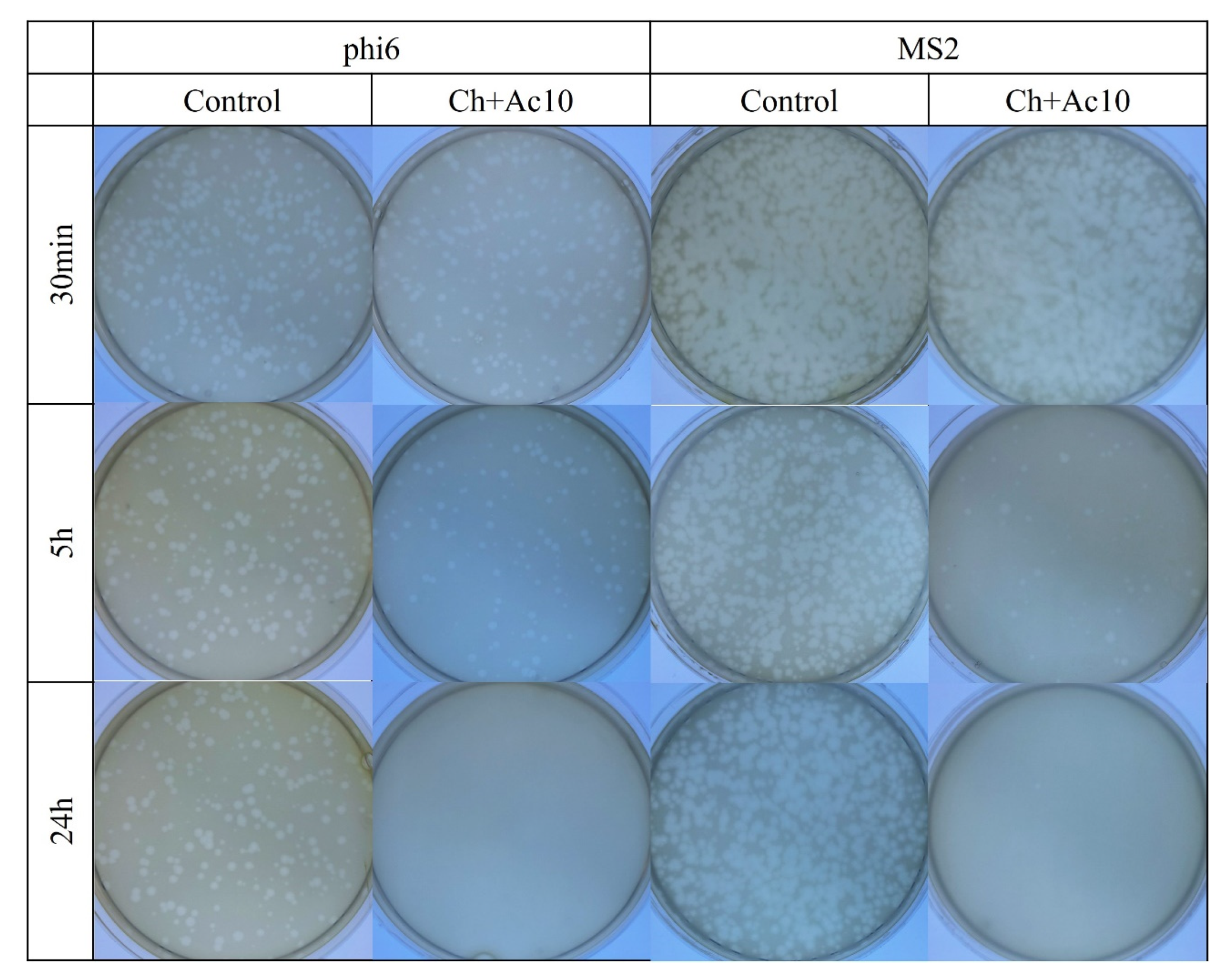 Ijms 24 12028 g002 Ijms 24 12028 g002