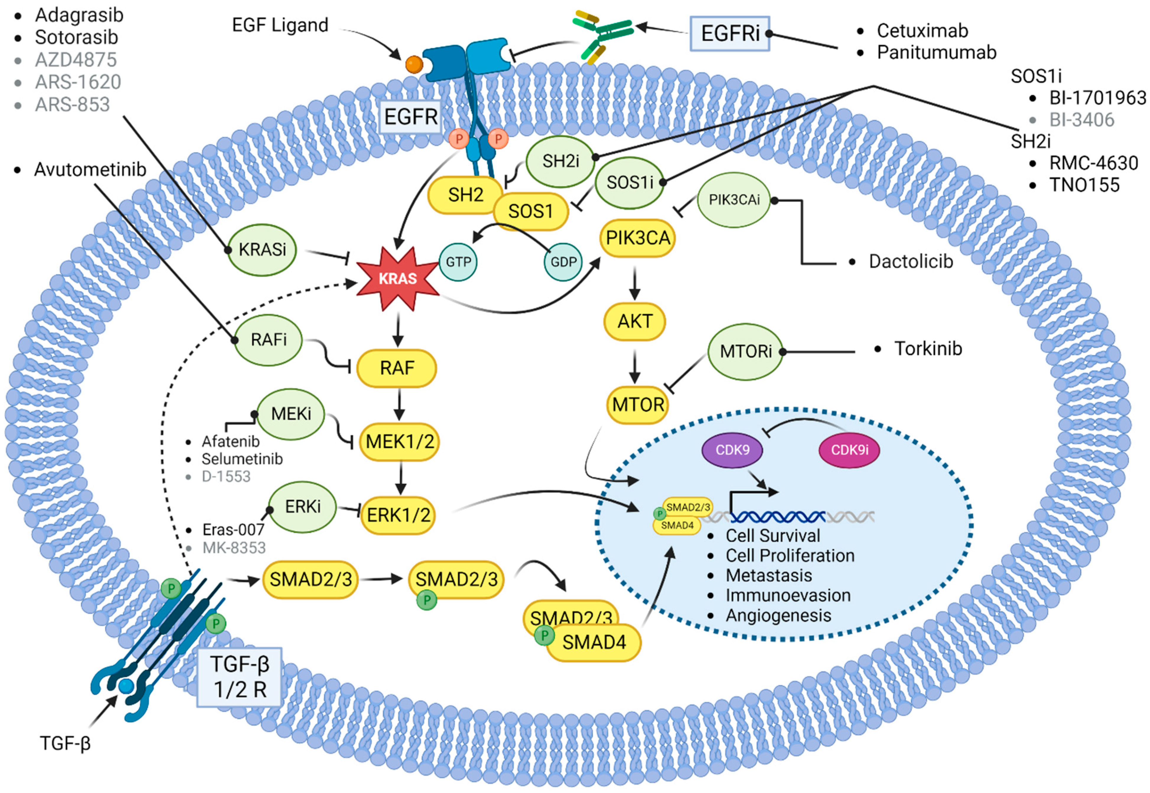 Ijms 24 12030 g002 Ijms 24 12030 g002