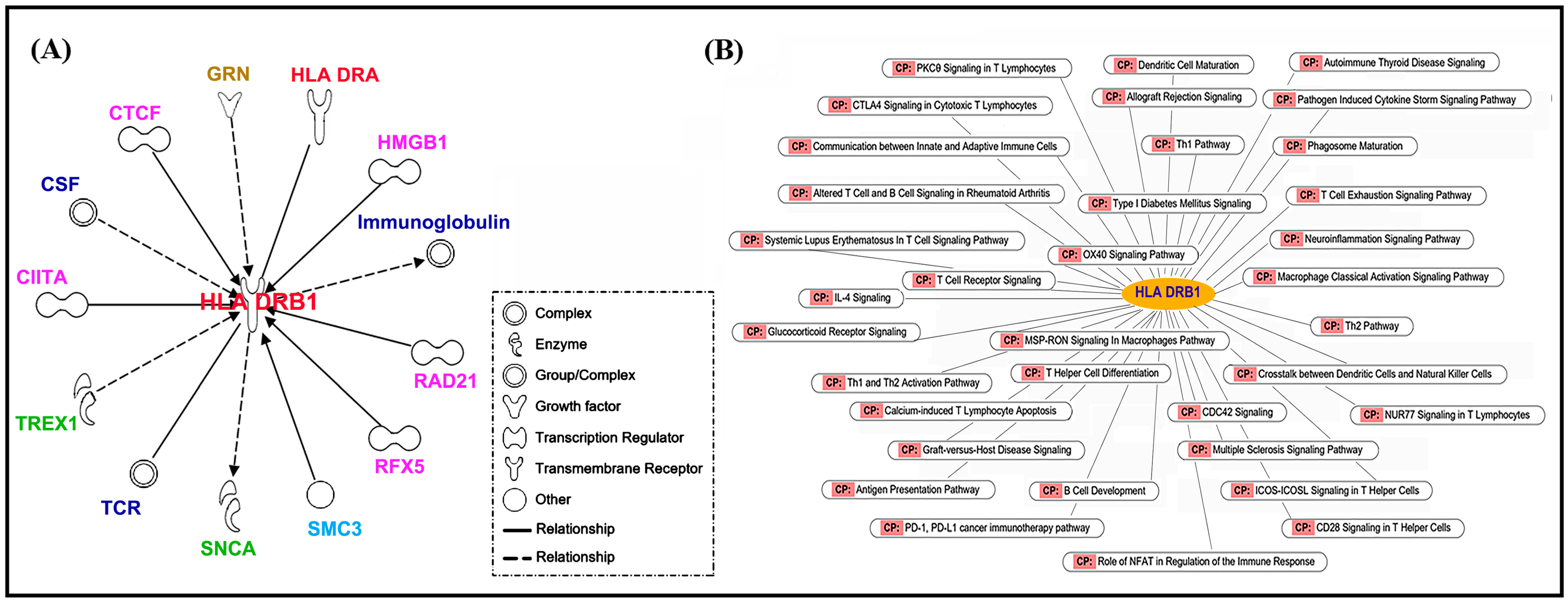 Ijms 24 12036 g003 Ijms 24 12036 g003