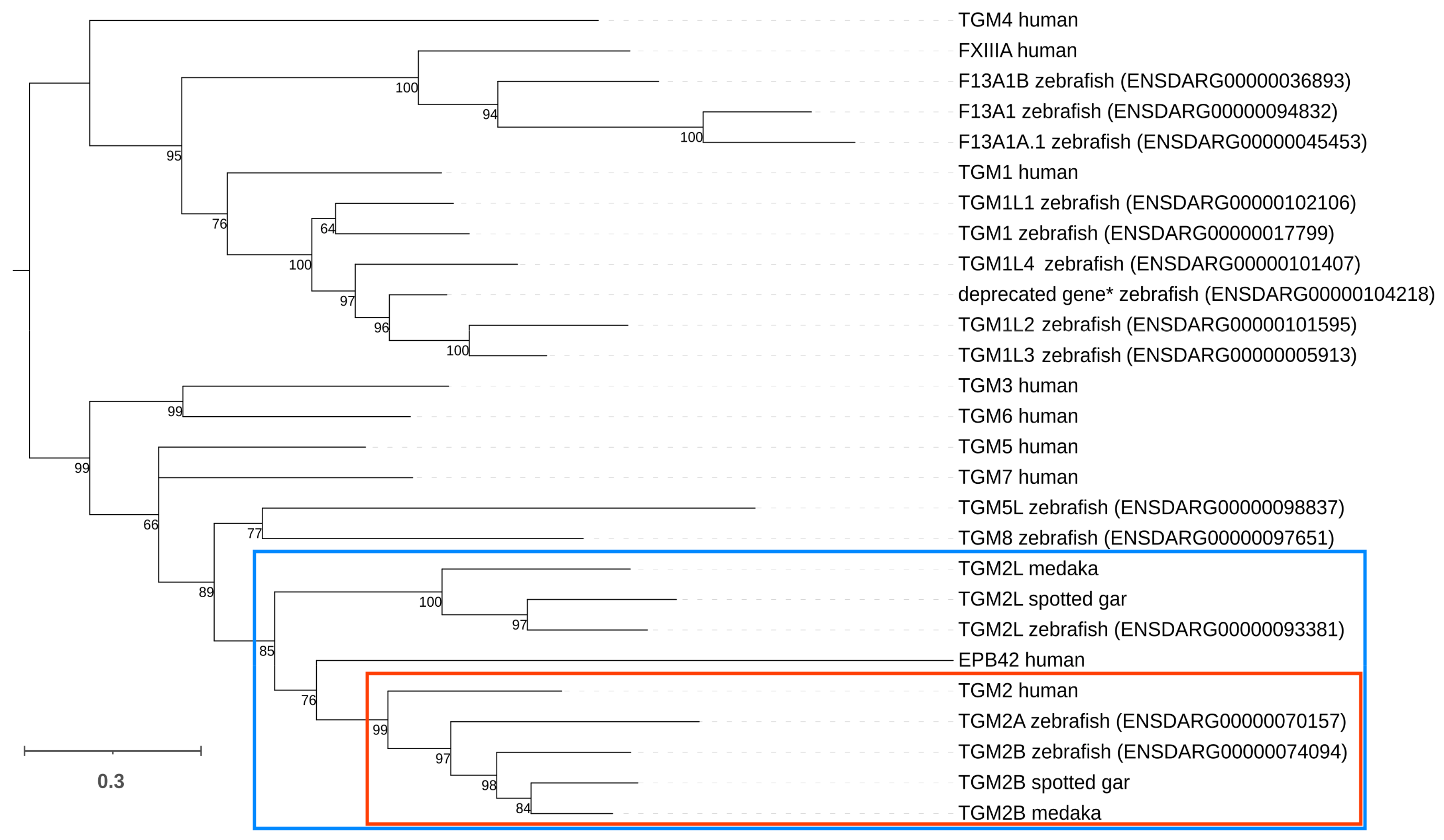 Ijms 24 12041 g001 Ijms 24 12041 g001