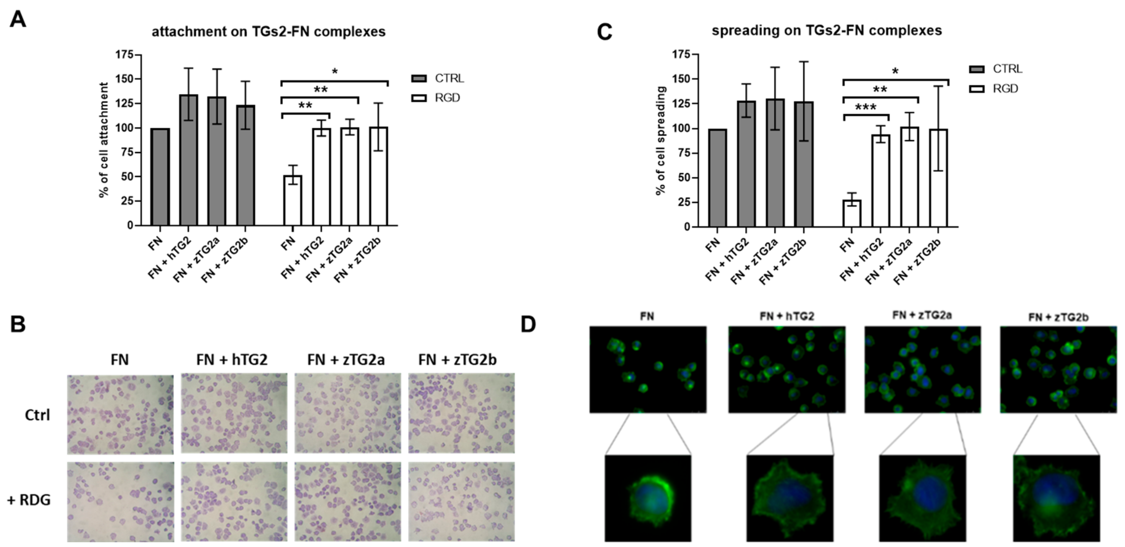 Ijms 24 12041 g007 Ijms 24 12041 g007