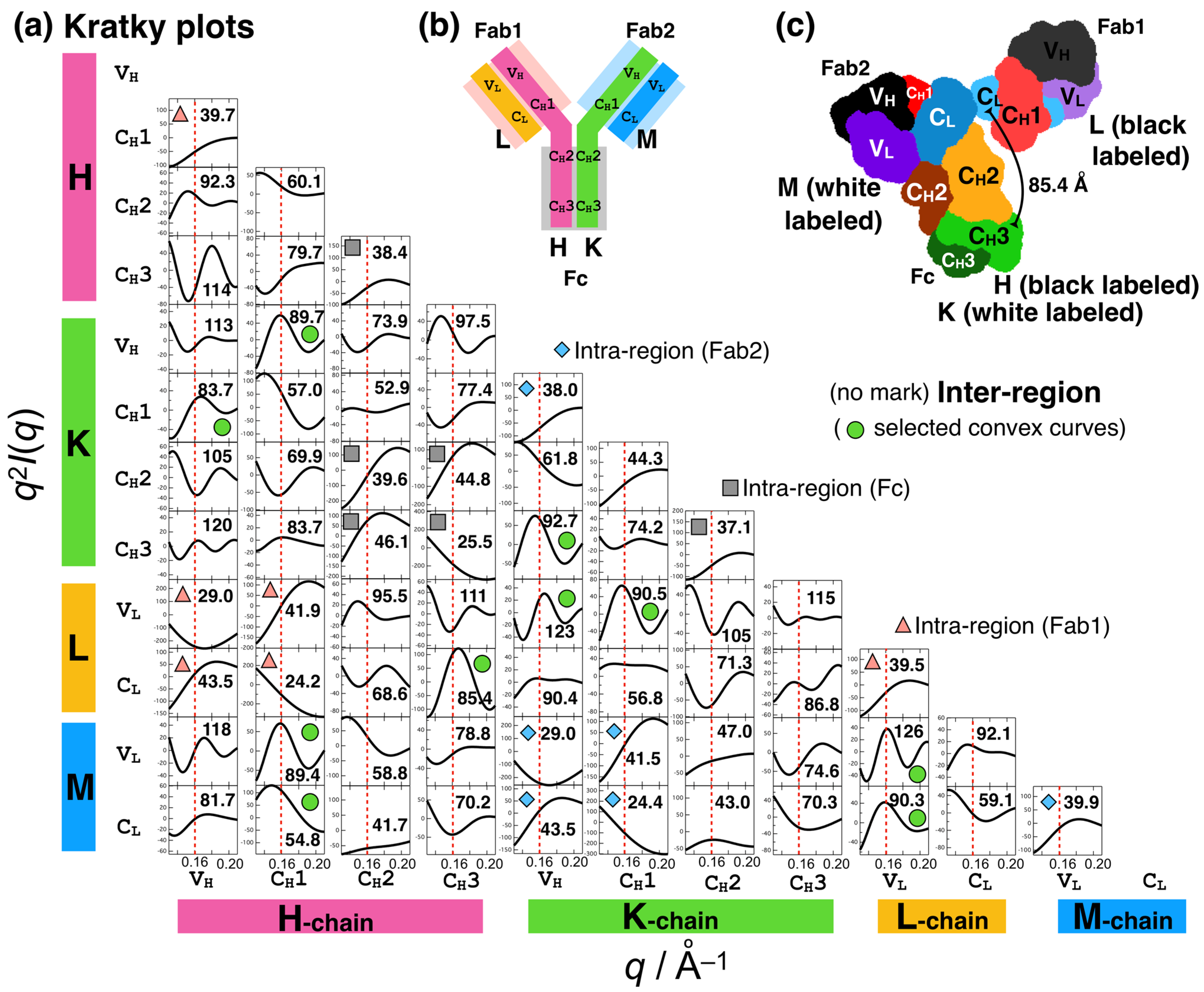 Ijms 24 12042 g003 Ijms 24 12042 g003
