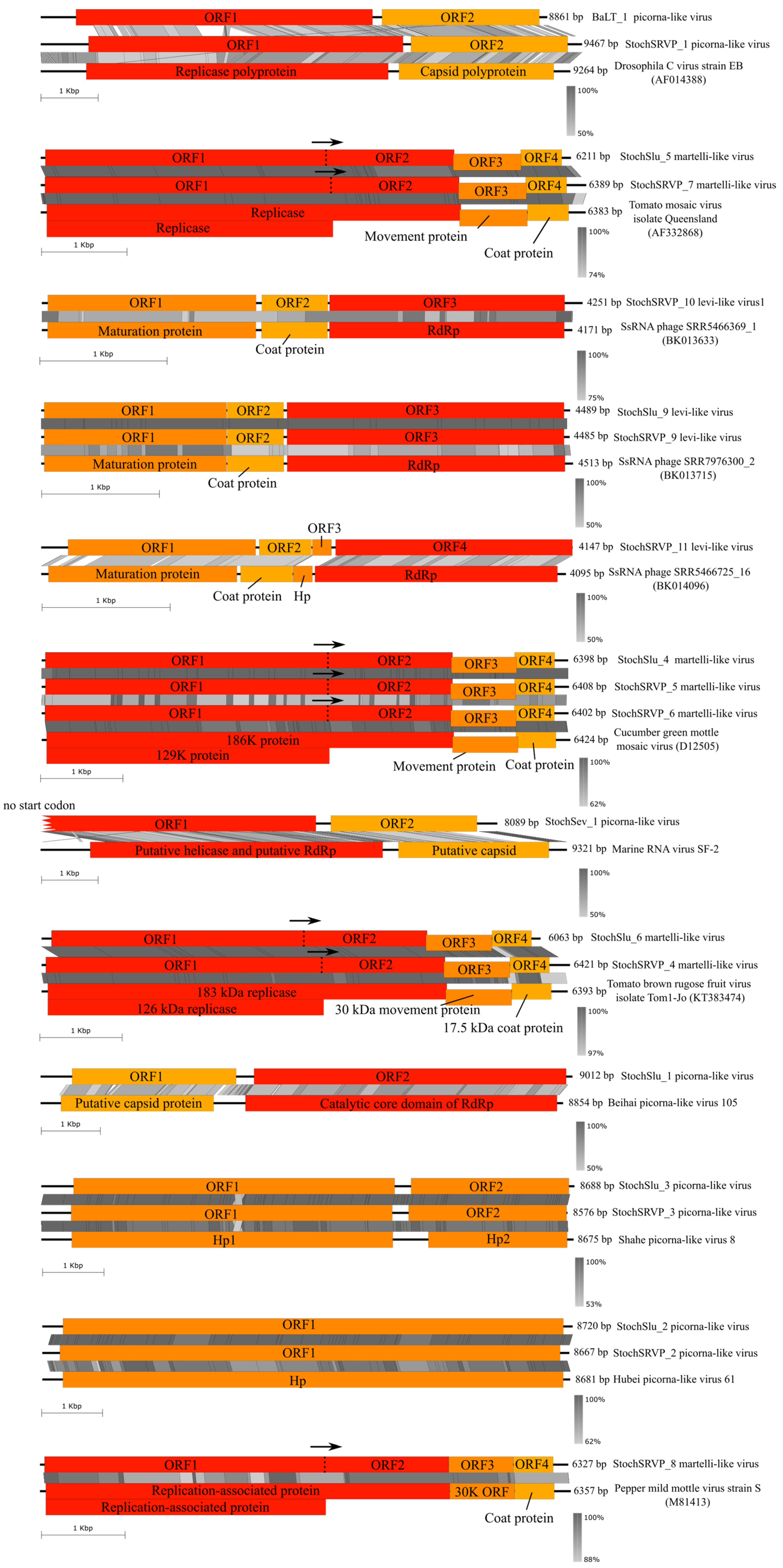 Ijms 24 12049 g006 Ijms 24 12049 g006