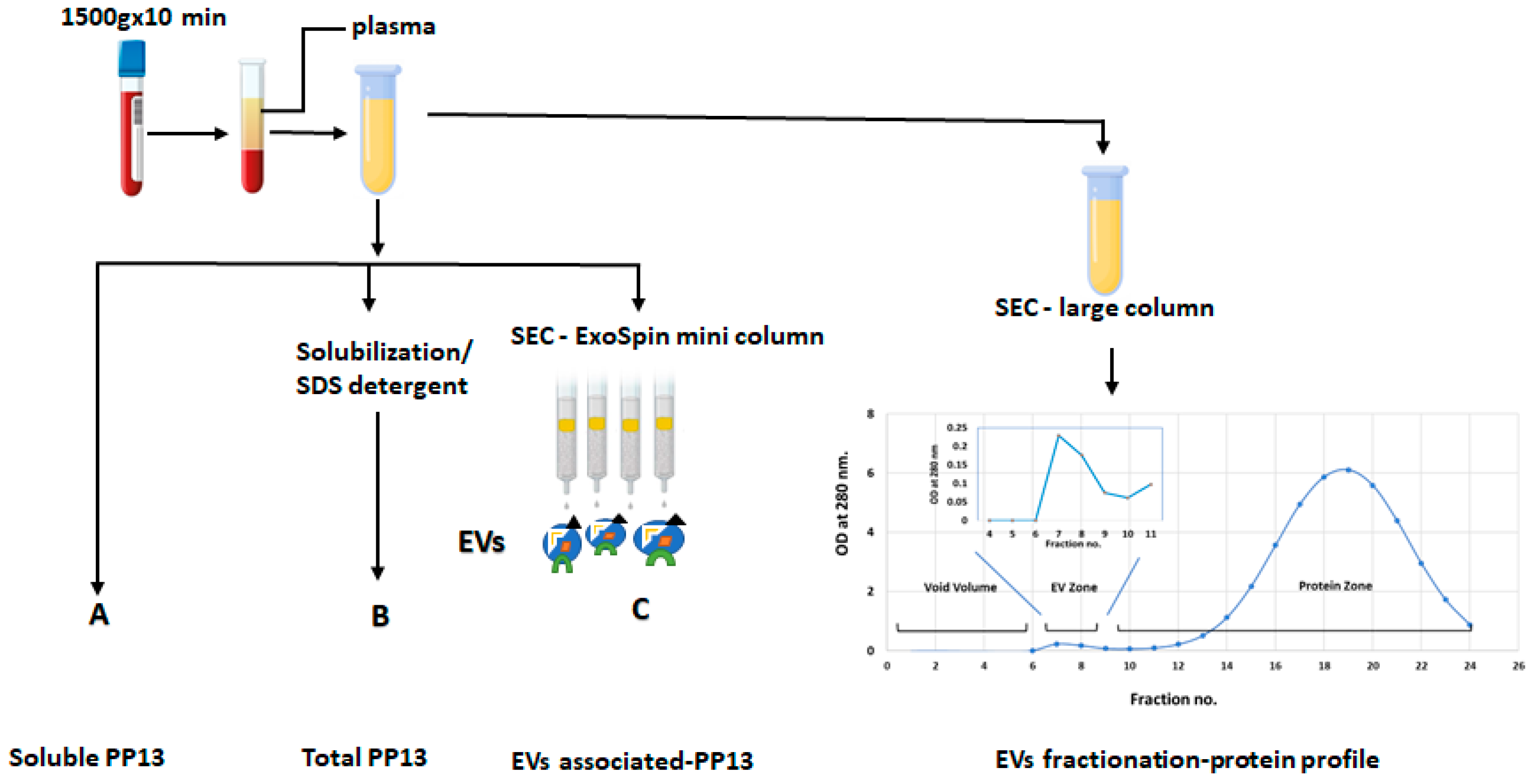 Ijms 24 12051 g003 Ijms 24 12051 g003
