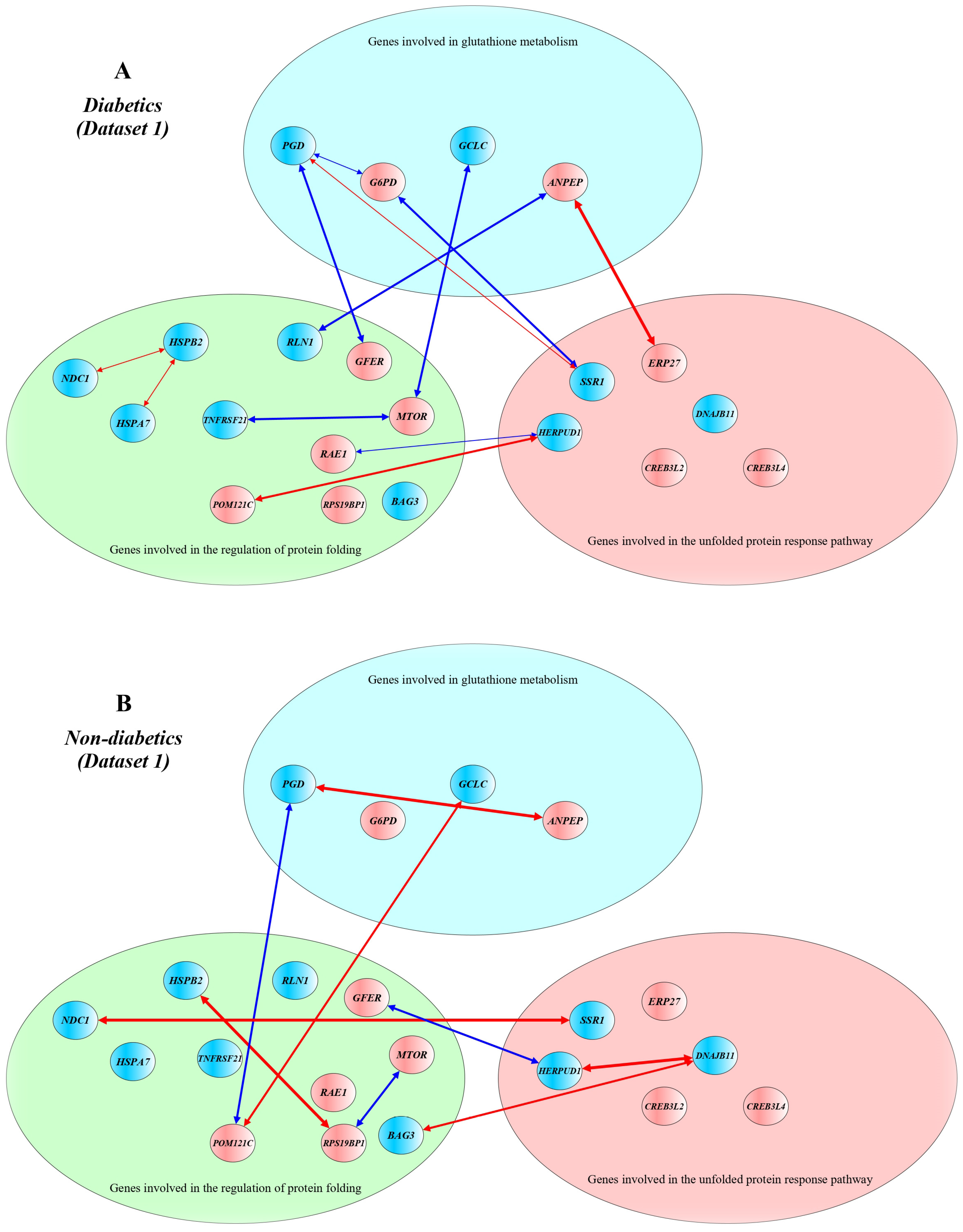 Ijms 24 12059 g001 Ijms 24 12059 g001