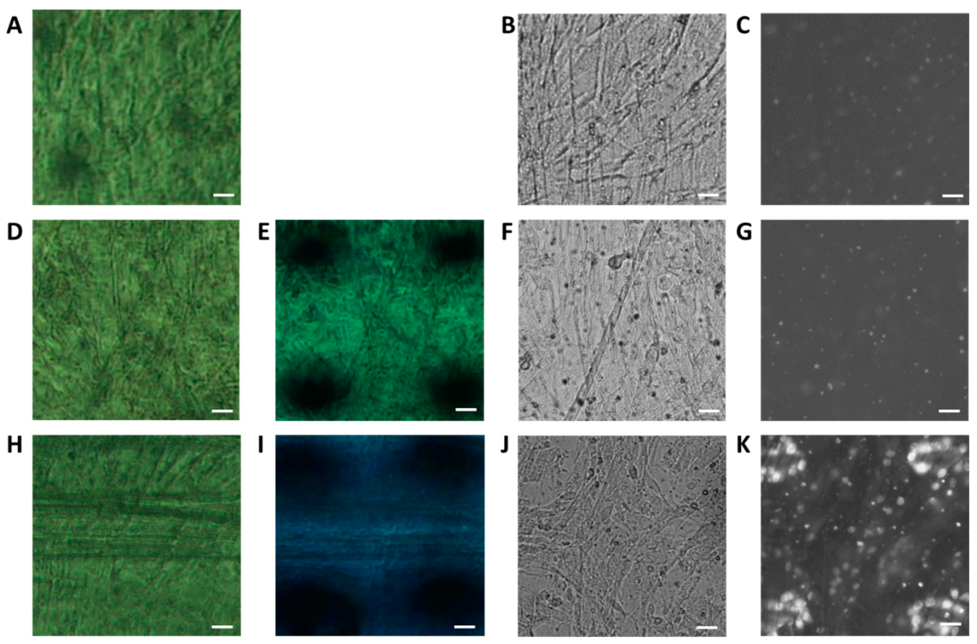 Ijms 24 12069 g002 Ijms 24 12069 g002