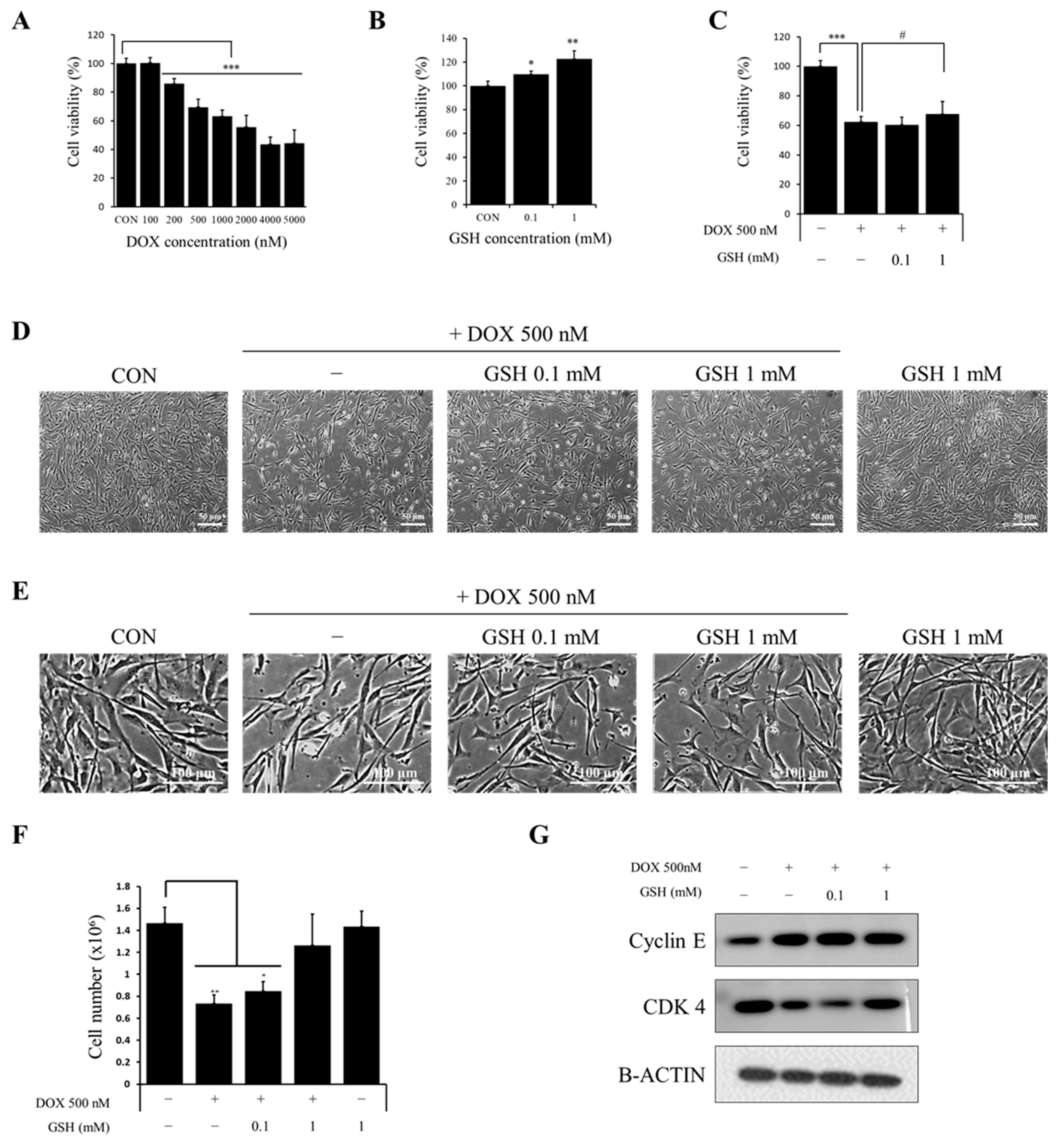 Ijms 24 12070 g001 Ijms 24 12070 g001