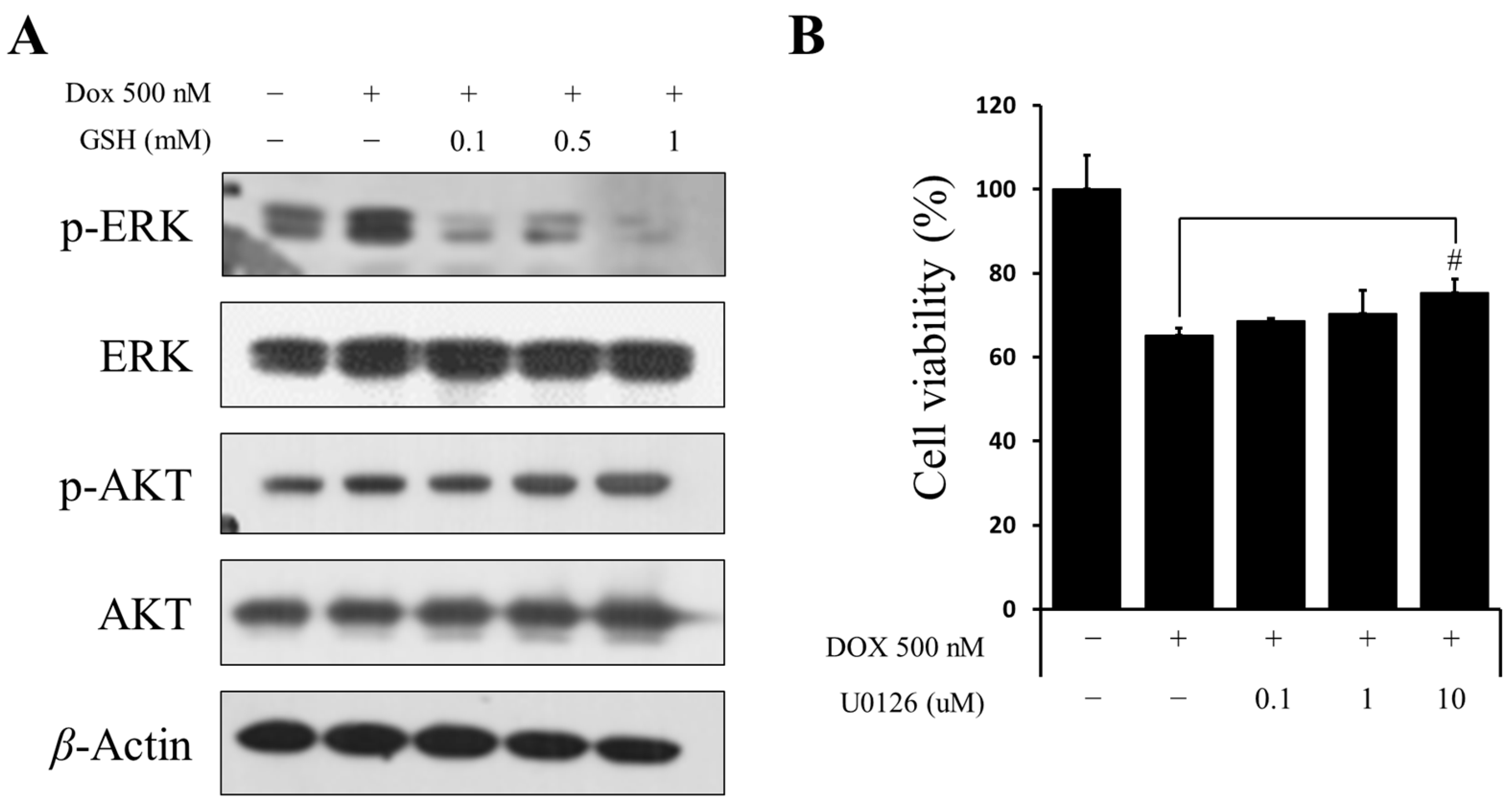 Ijms 24 12070 g003 Ijms 24 12070 g003