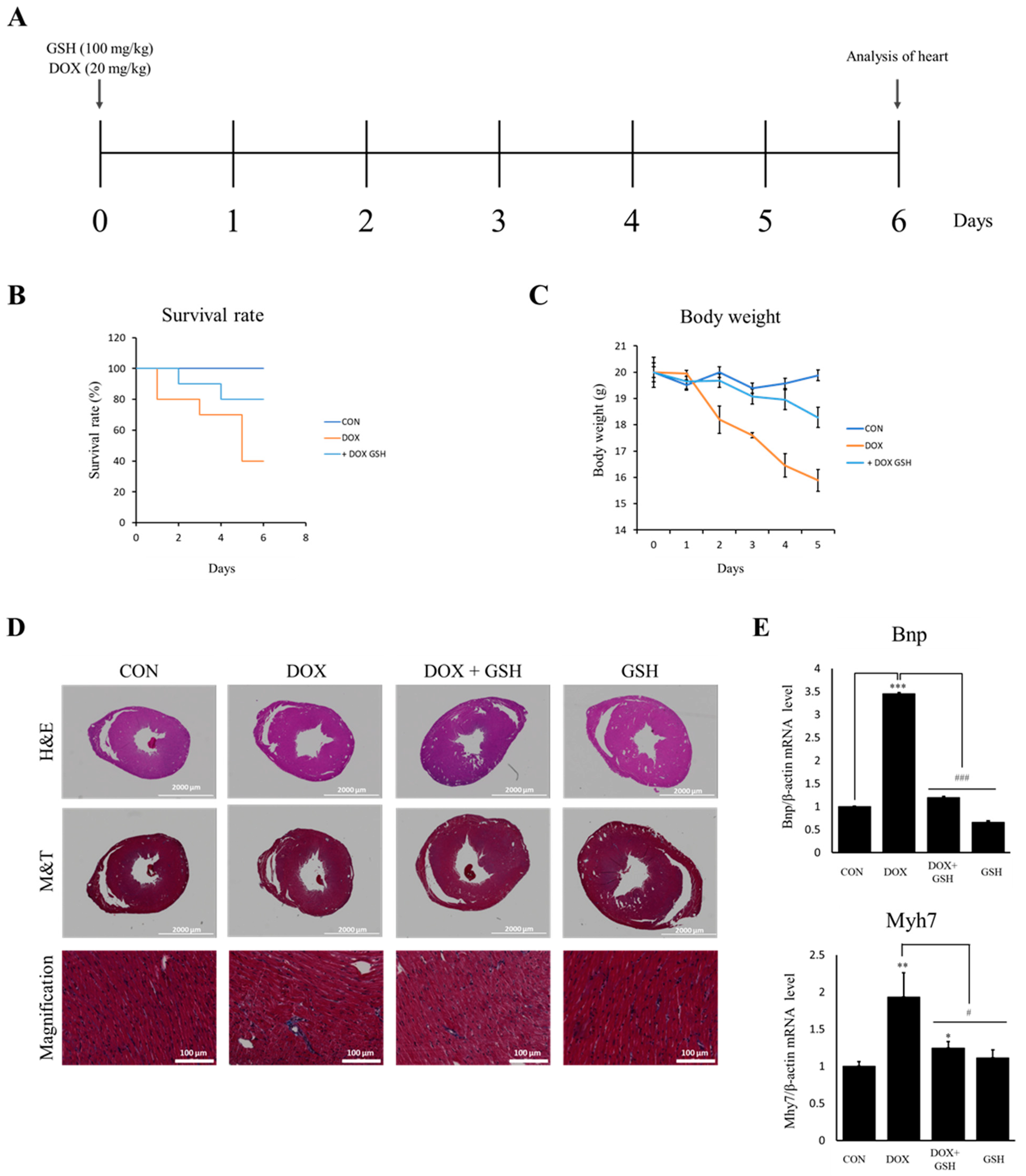 Ijms 24 12070 g005 Ijms 24 12070 g005