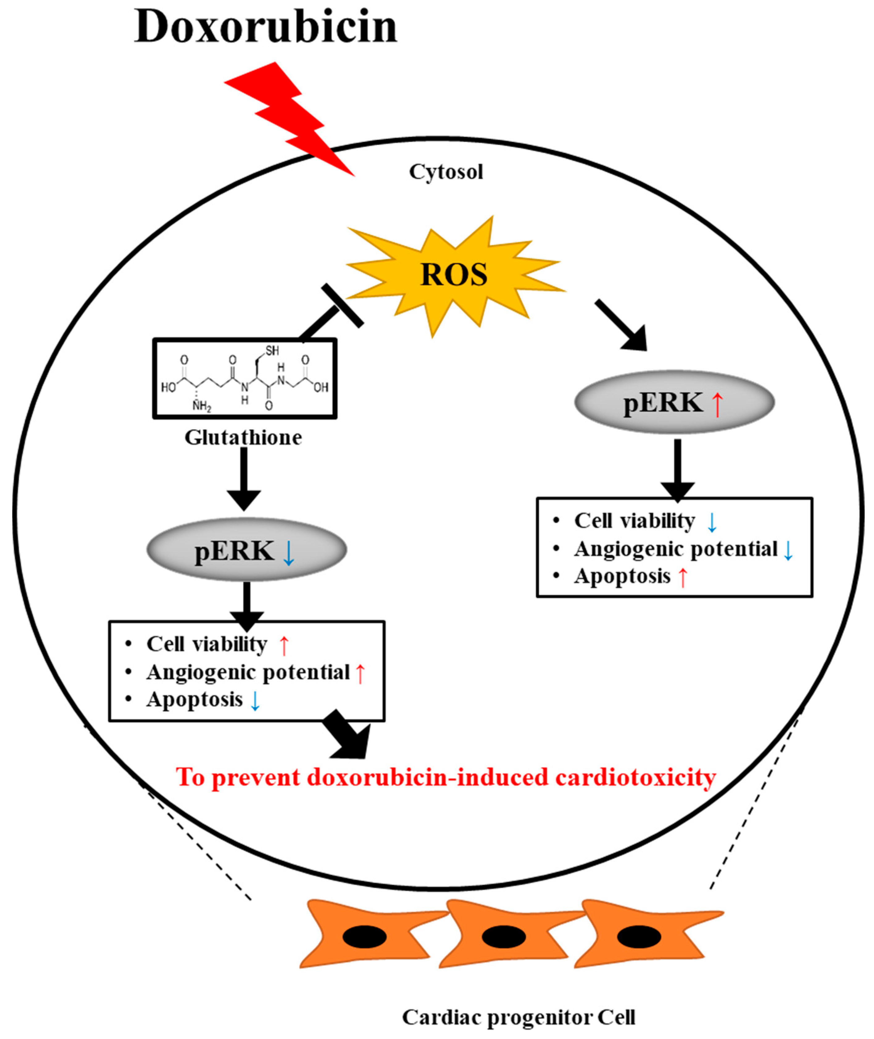 Ijms 24 12070 g006 Ijms 24 12070 g006