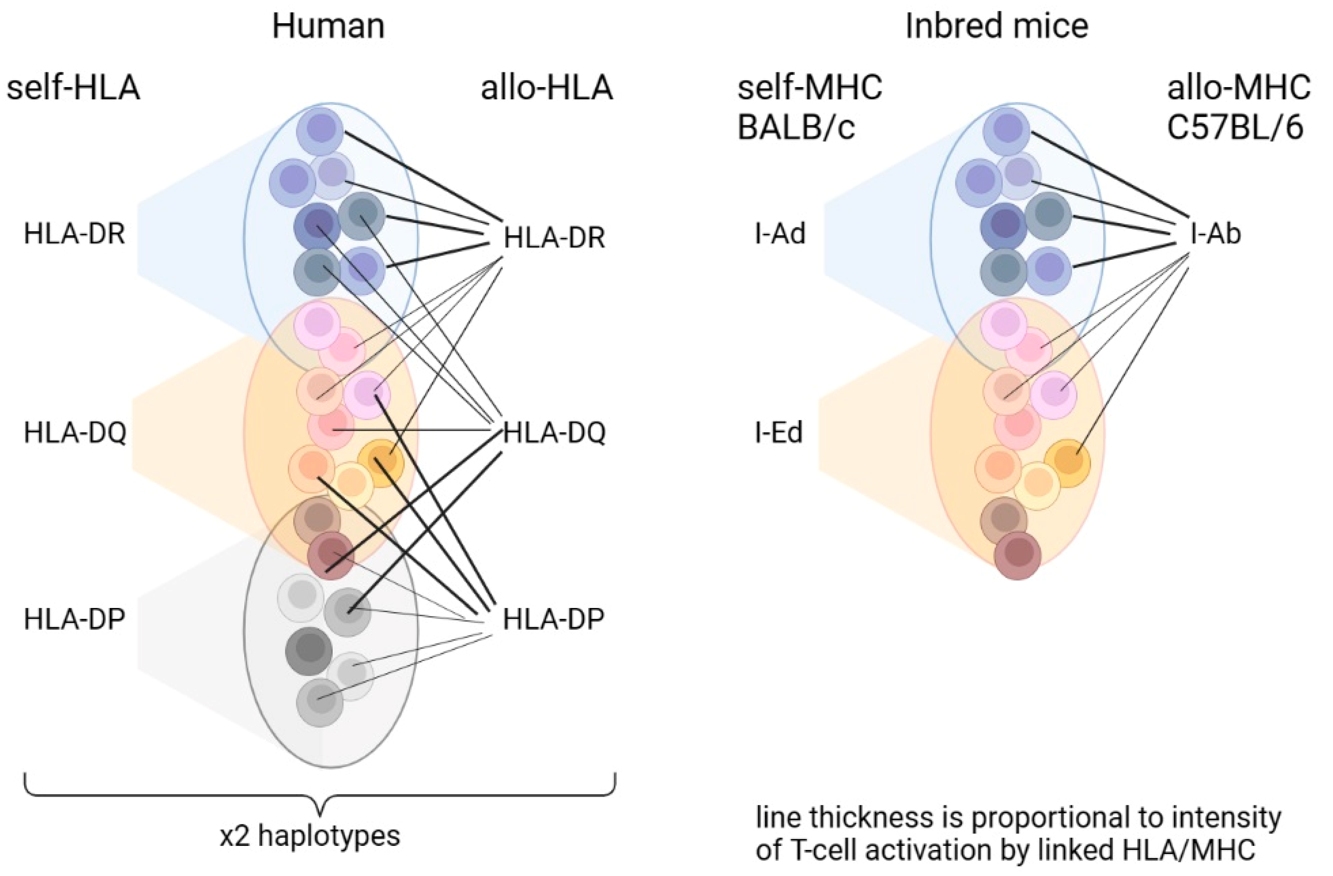 Ijms 24 12075 g009 Ijms 24 12075 g009