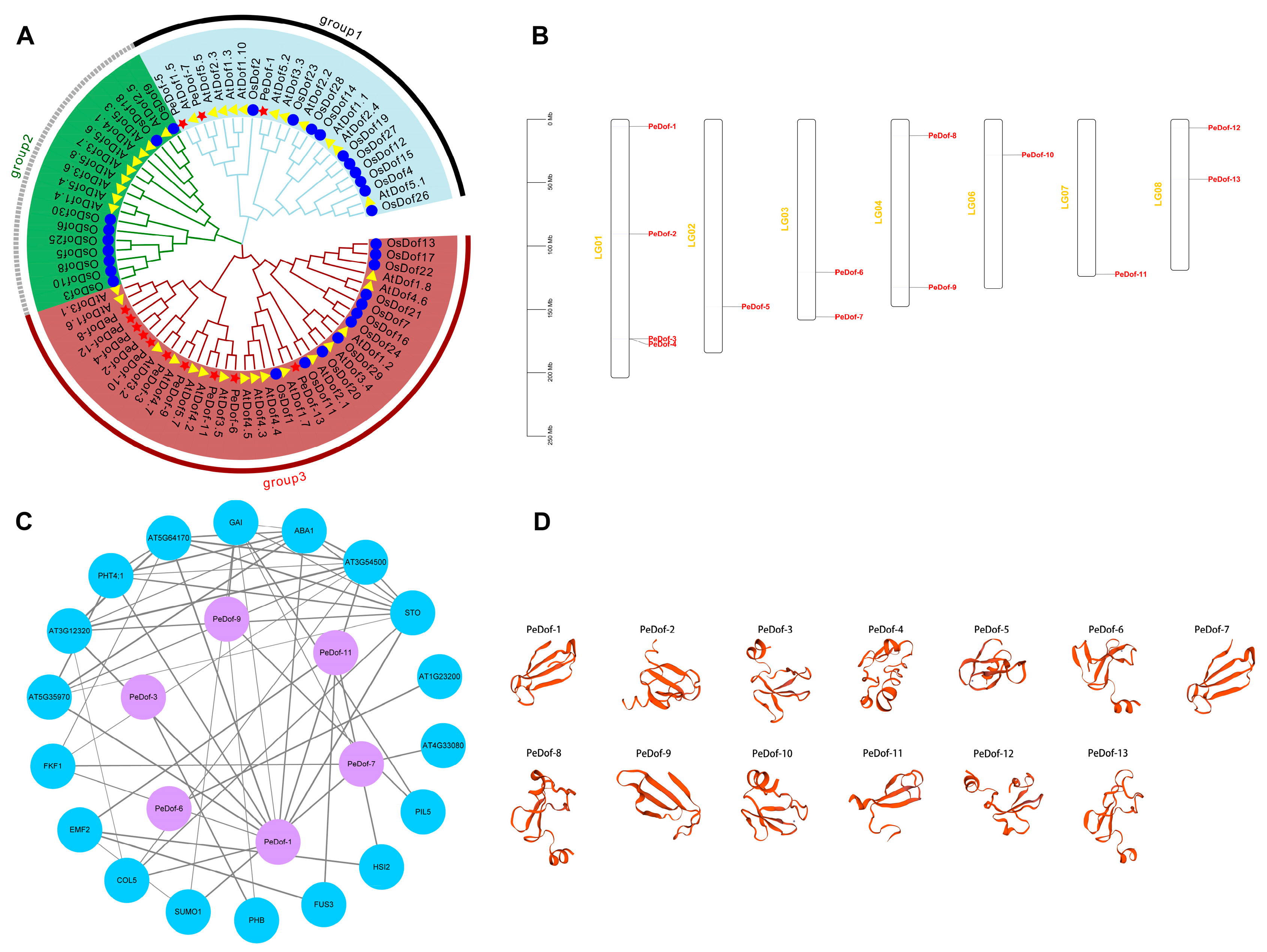 Ijms 24 12091 g001 Ijms 24 12091 g001