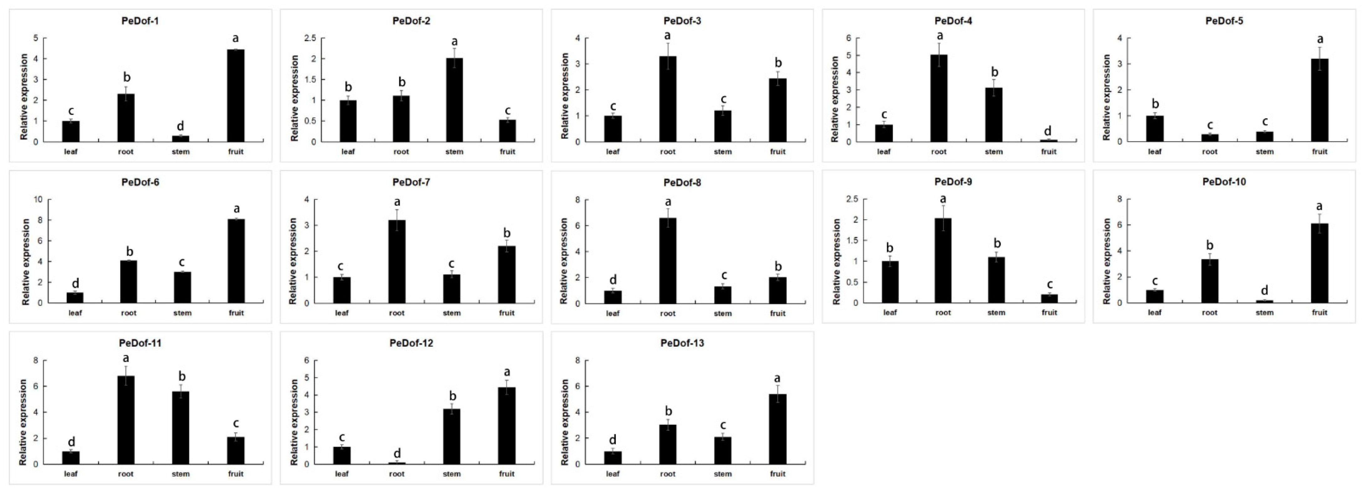 Ijms 24 12091 g004 Ijms 24 12091 g004