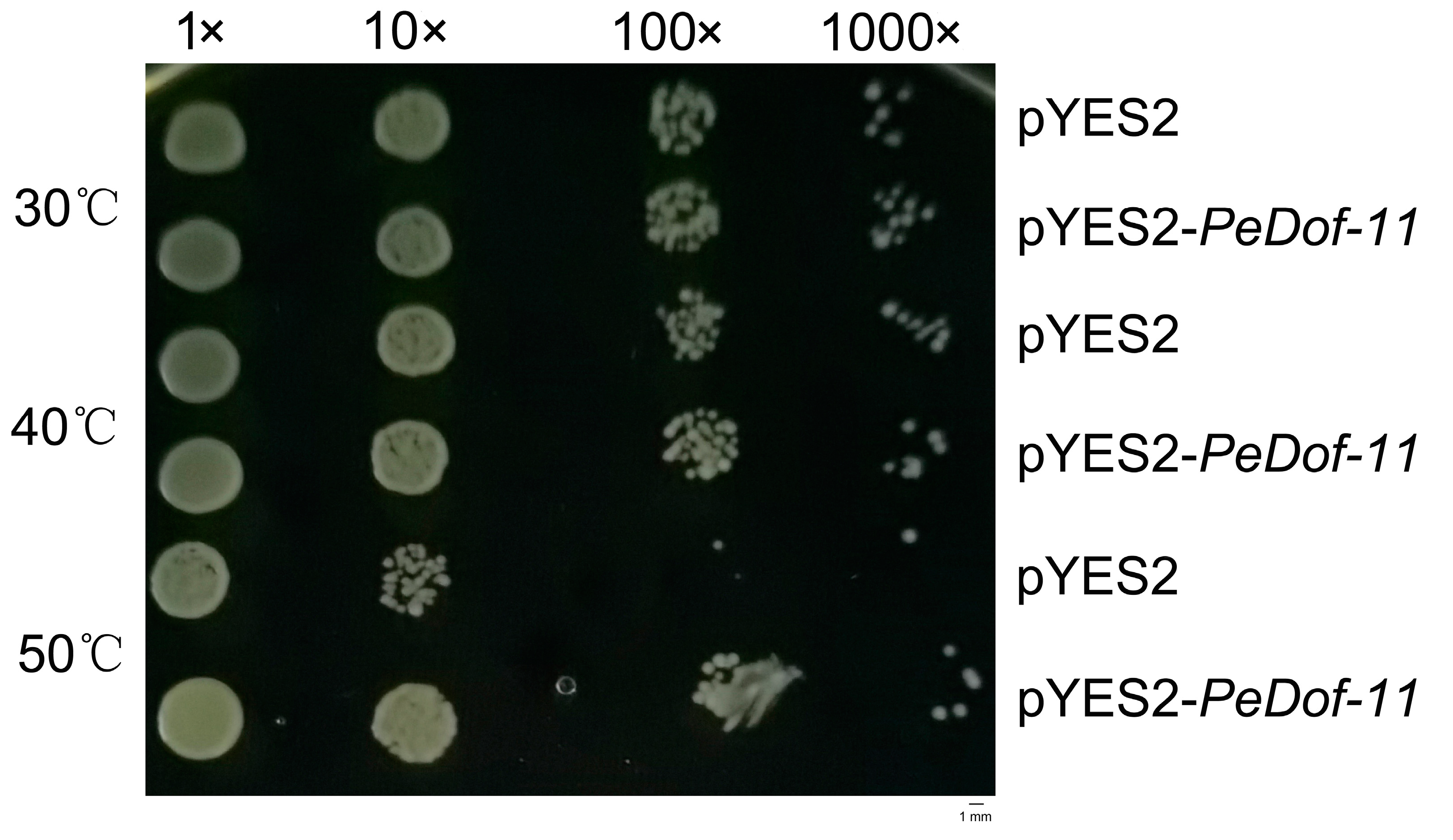 Ijms 24 12091 g006 Ijms 24 12091 g006