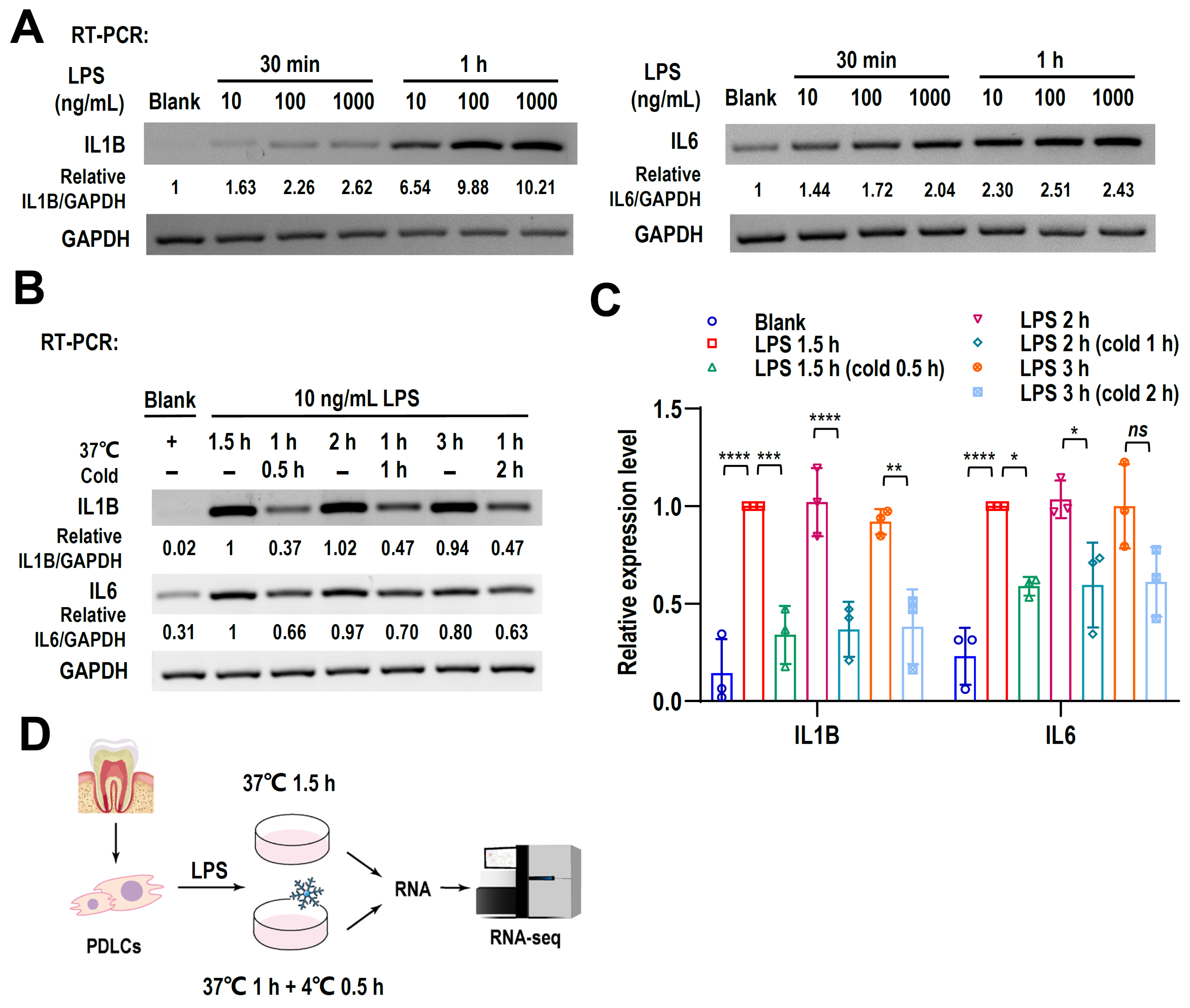 Ijms 24 12097 g001 Ijms 24 12097 g001