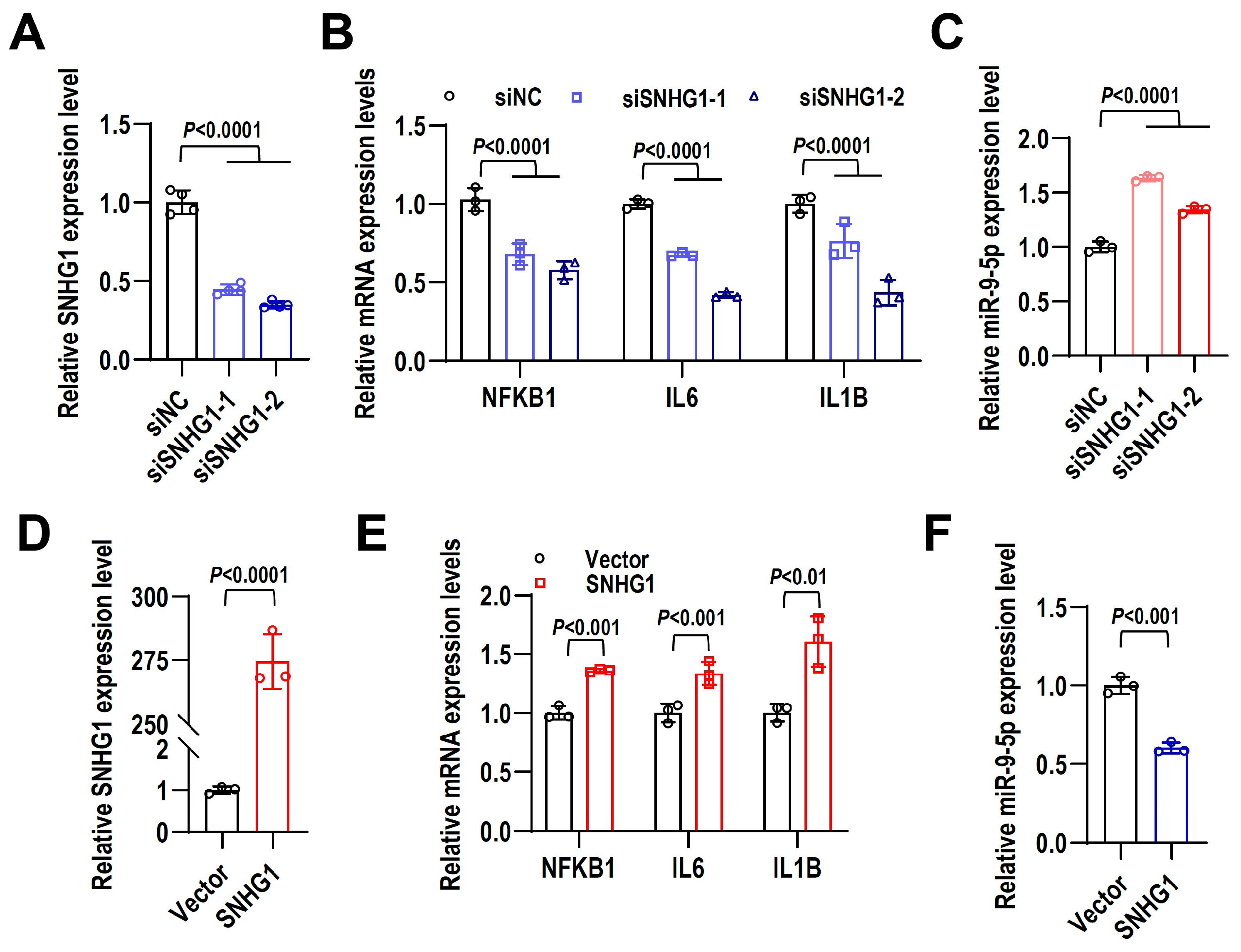 Ijms 24 12097 g007 Ijms 24 12097 g007
