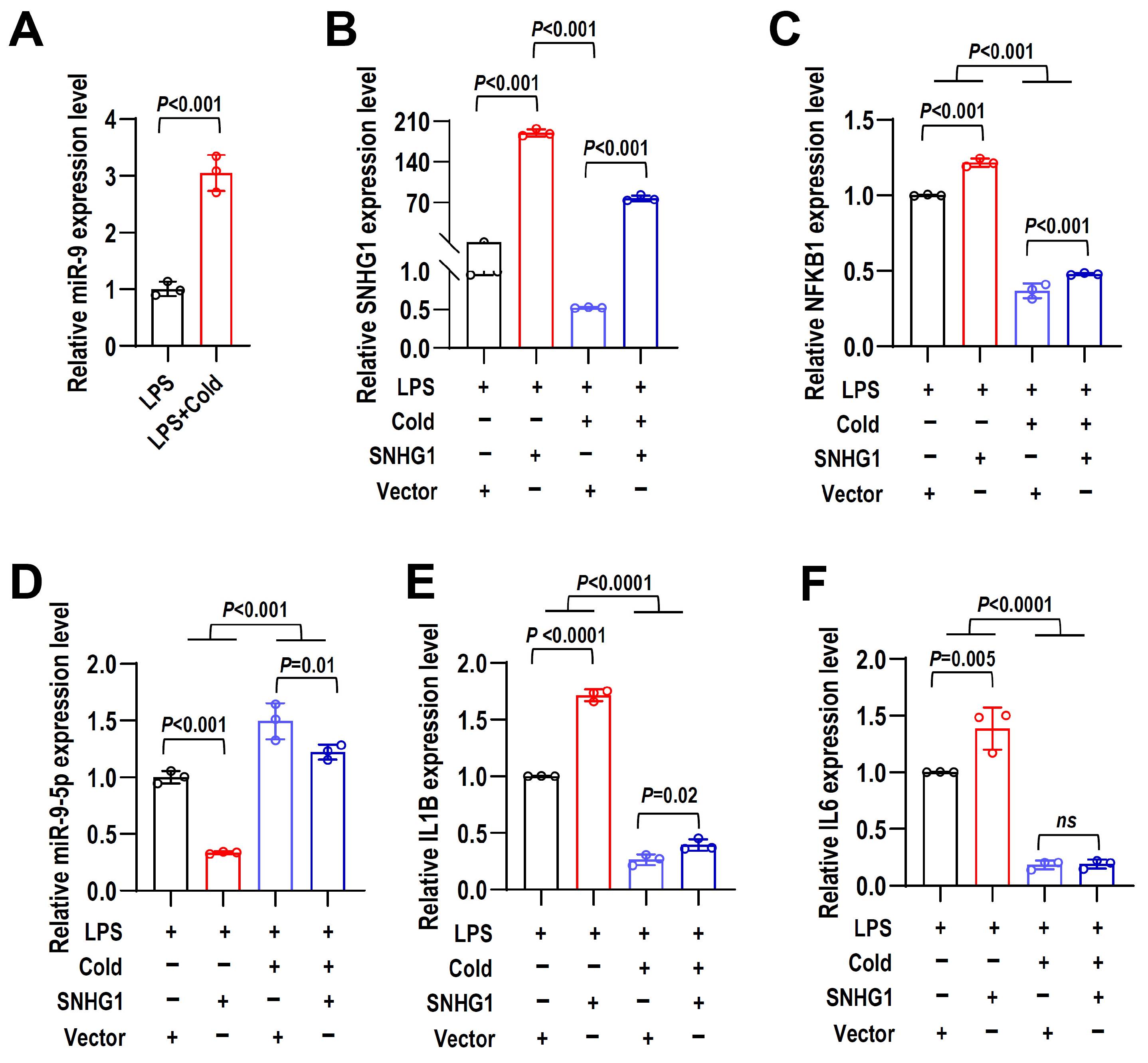 Ijms 24 12097 g008 Ijms 24 12097 g008