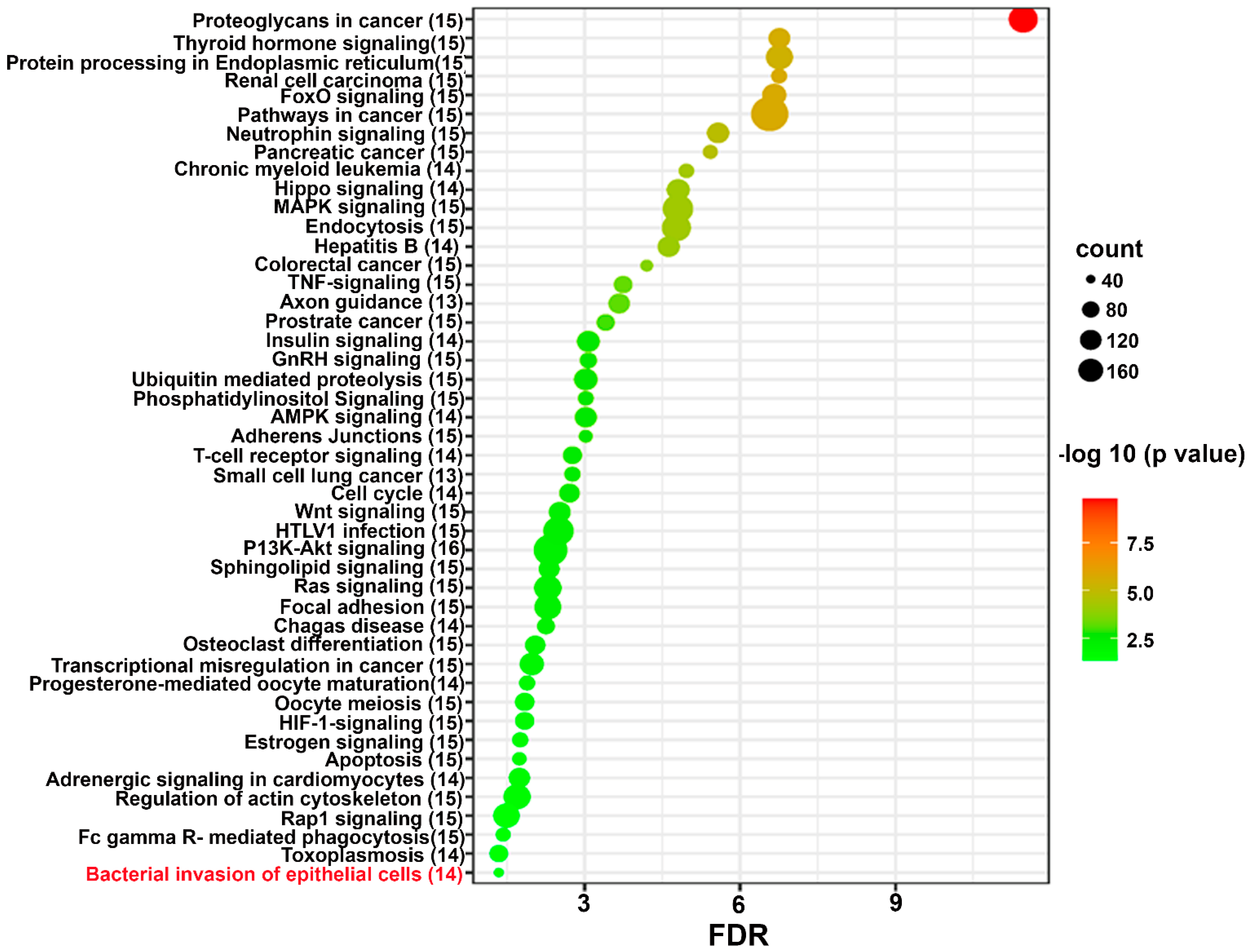 Ijms 24 12105 g003 Ijms 24 12105 g003