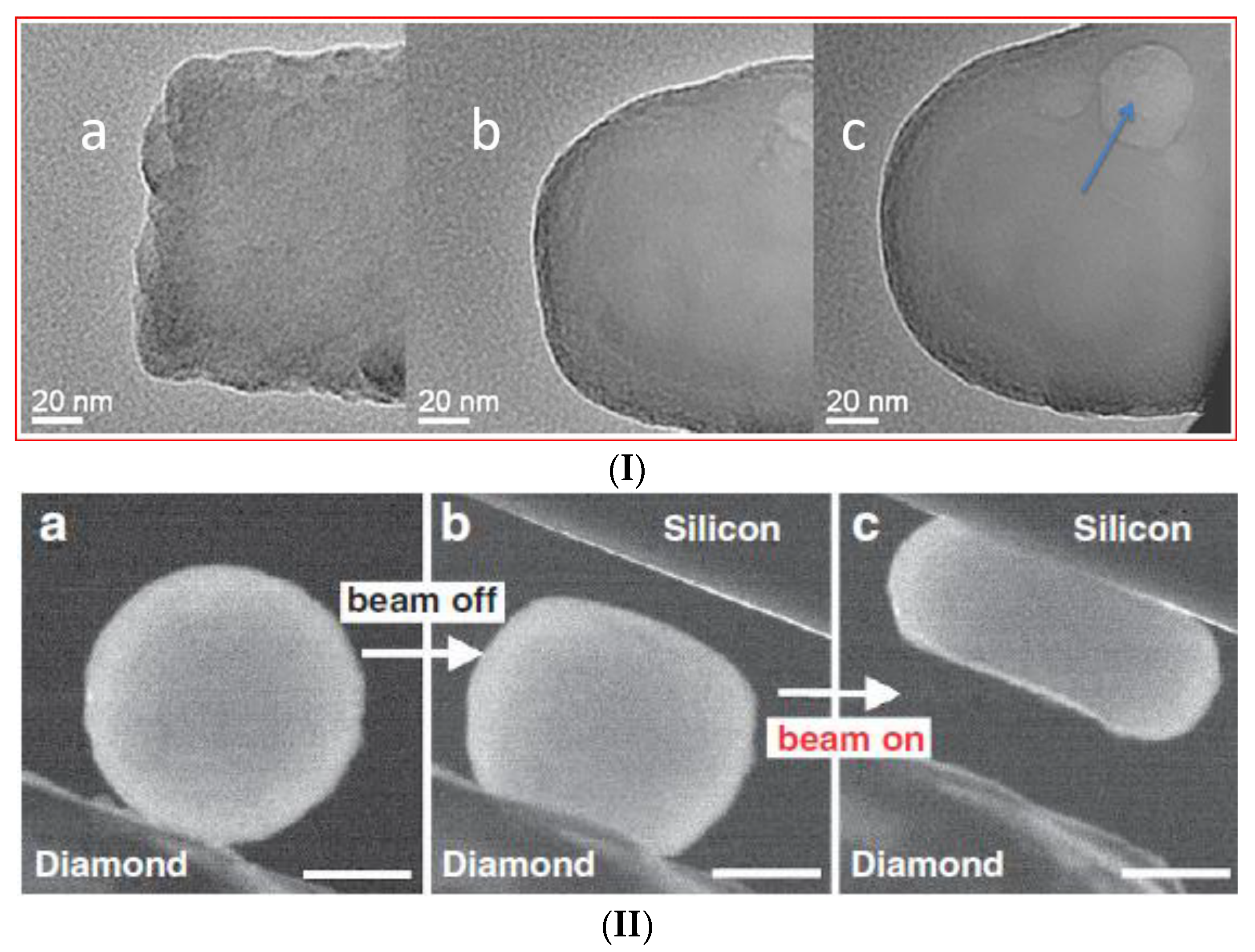 Ijms 24 12120 g001a Ijms 24 12120 g001a