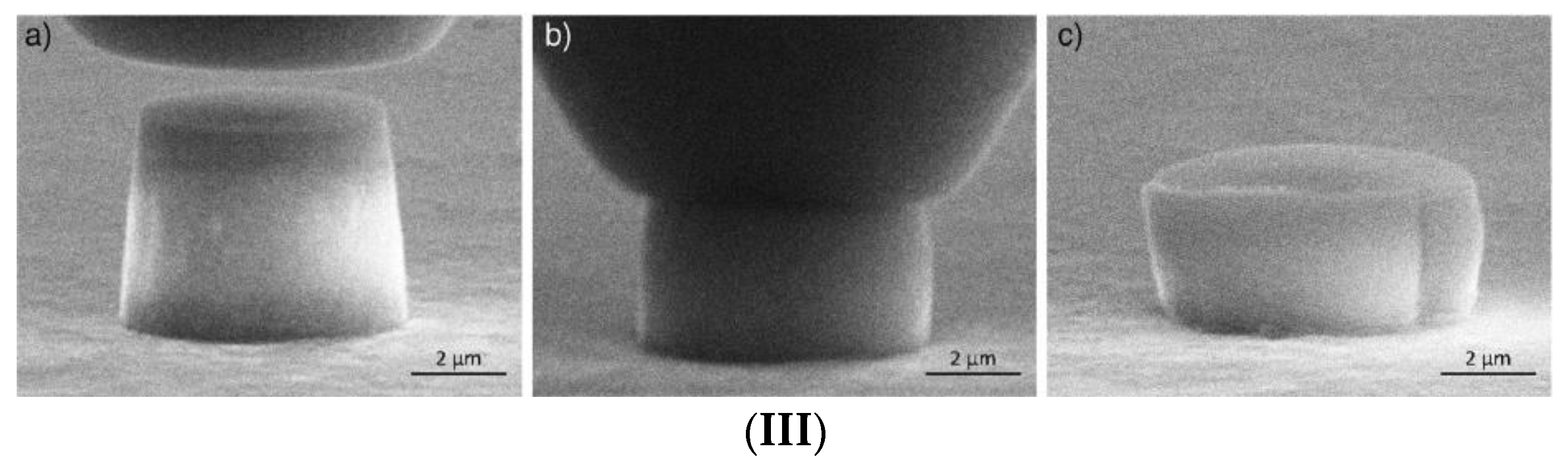 Ijms 24 12120 g001b Ijms 24 12120 g001b