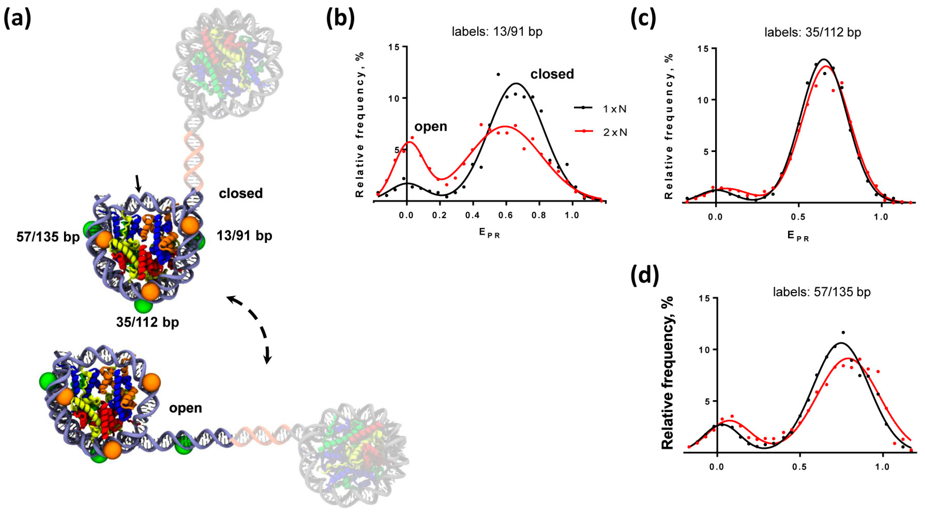 Ijms 24 12127 g002 Ijms 24 12127 g002