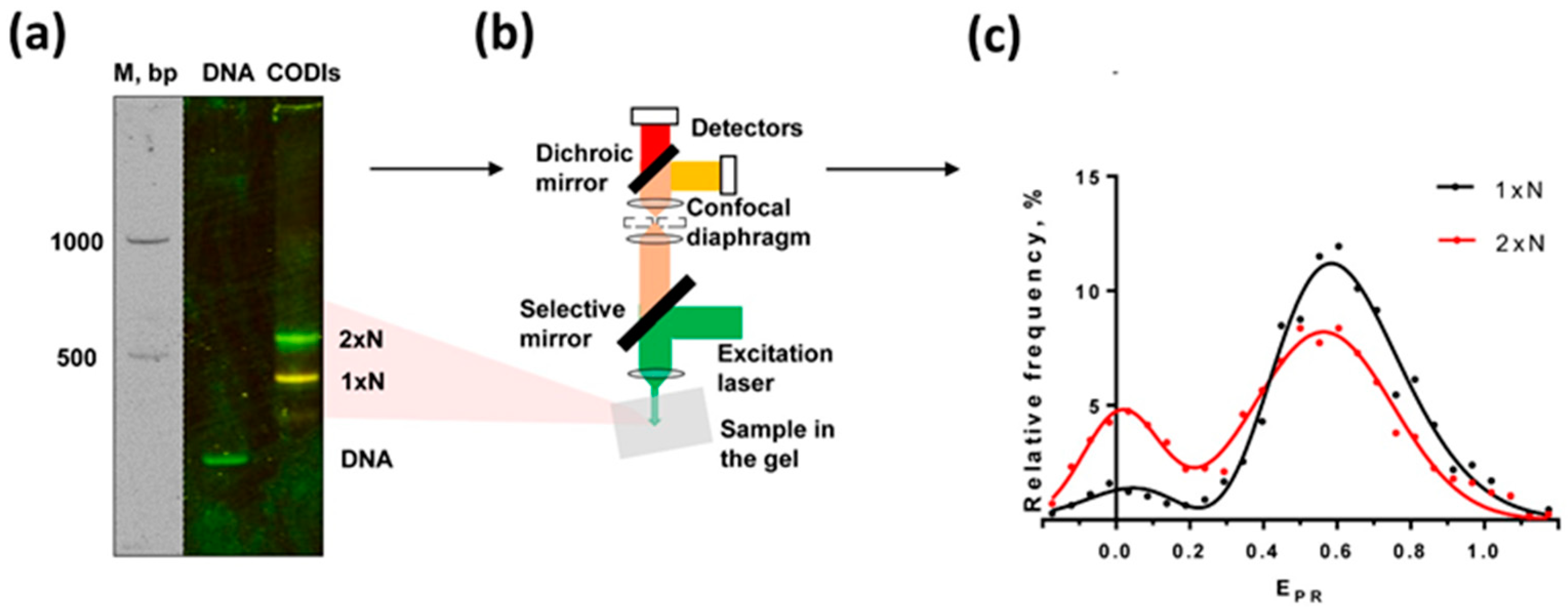 Ijms 24 12127 g003 Ijms 24 12127 g003
