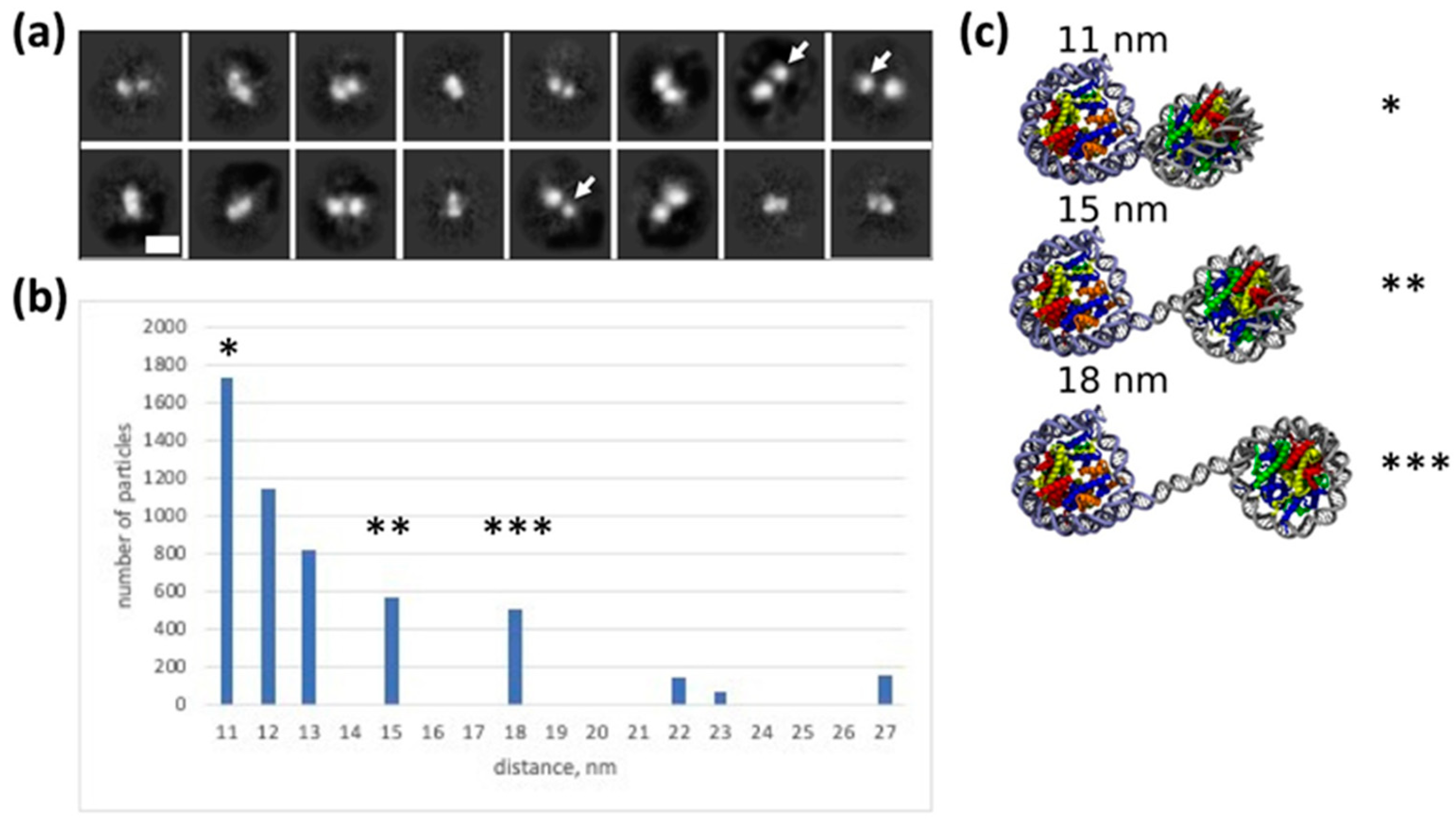Ijms 24 12127 g004 Ijms 24 12127 g004